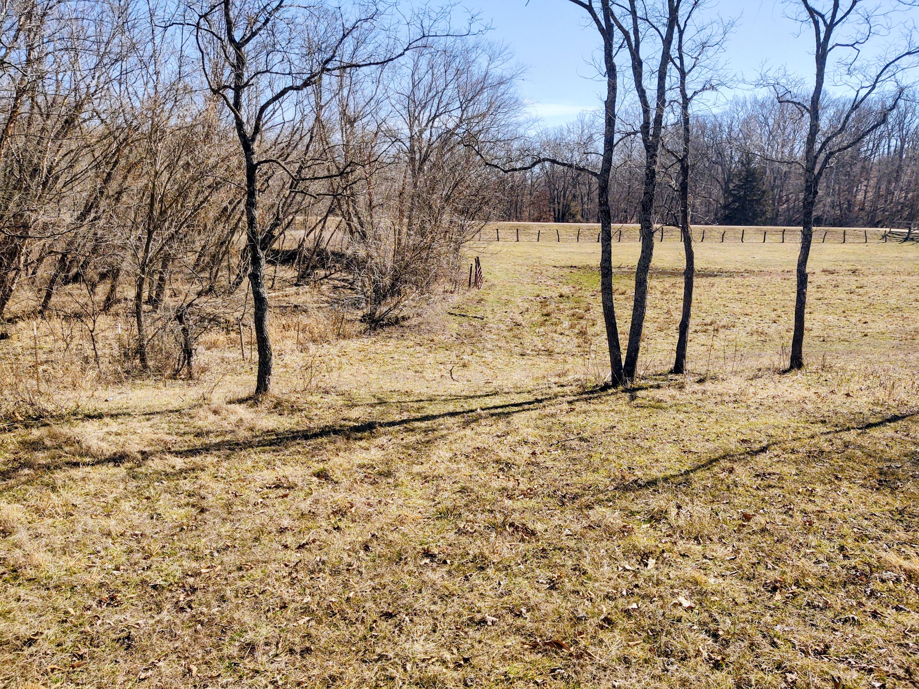 Photo 4 - Land for sale – 000 NE 184 Pvt Road  Osceola, MO