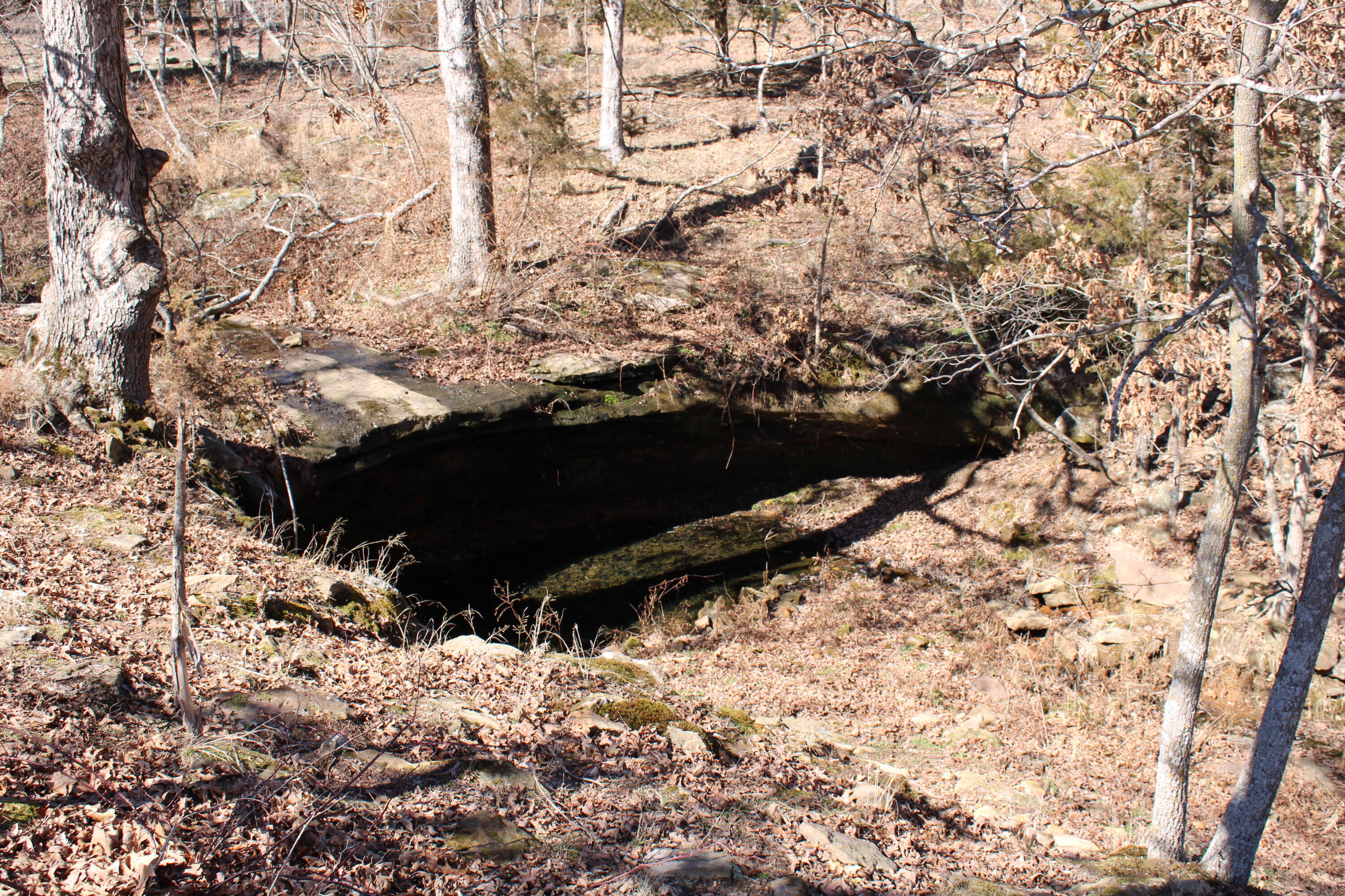 Photo 21 - Land for sale – 000 NE 184 Pvt Road  Osceola, MO
