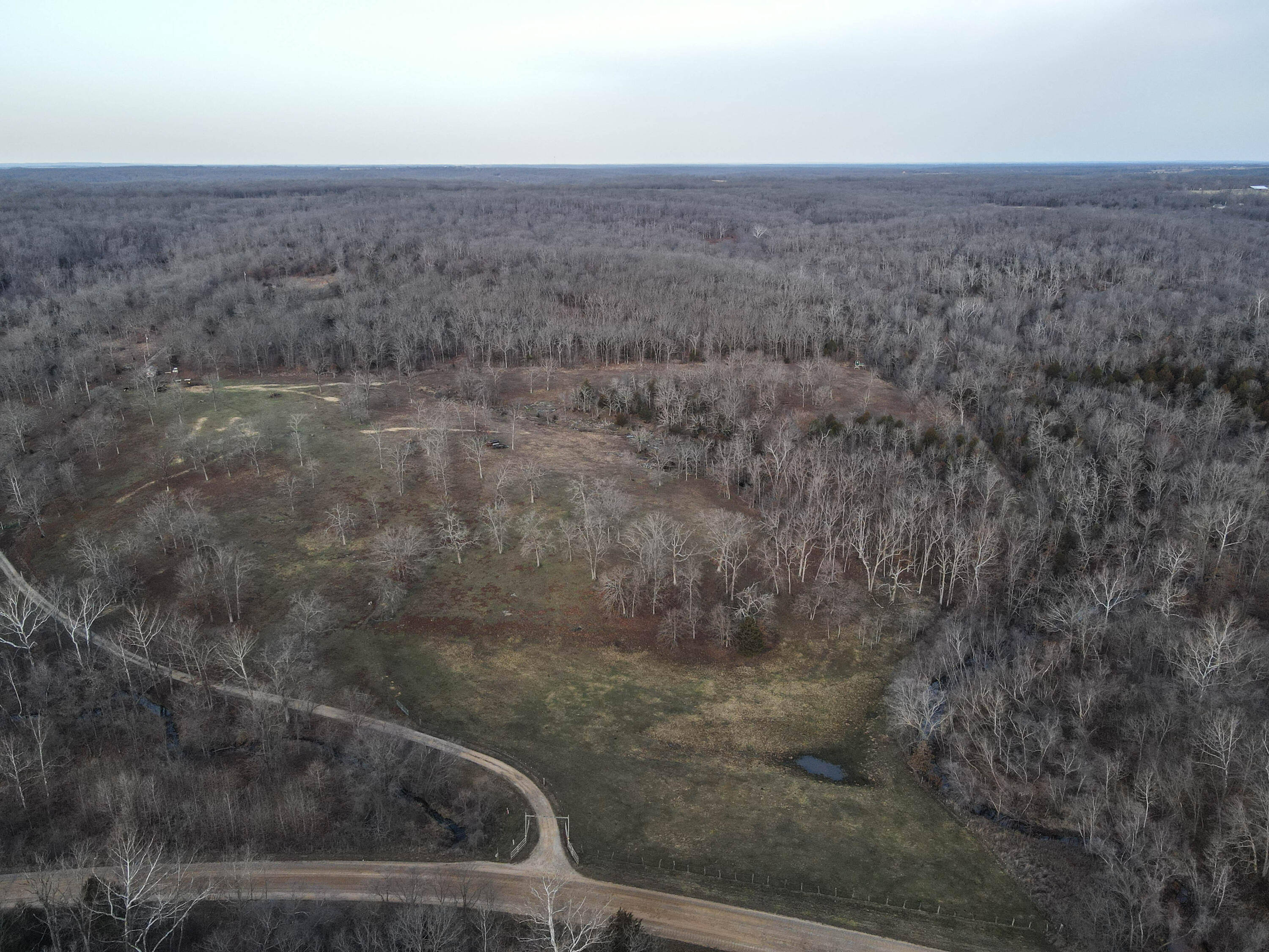 Photo 37 - Land for sale – 000 NE 184 Pvt Road  Osceola, MO