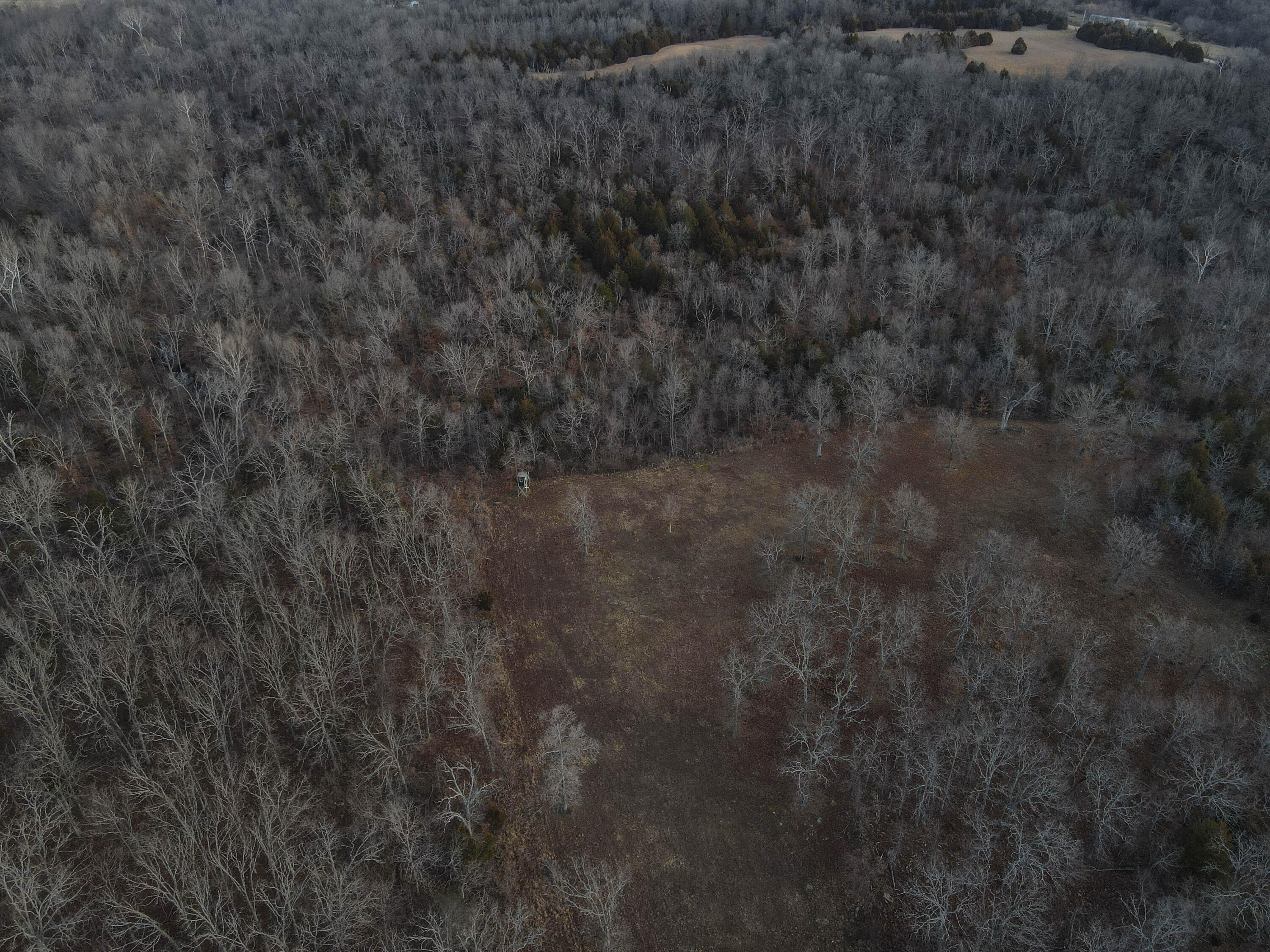 Photo 45 - Land for sale – 000 NE 184 Pvt Road  Osceola, MO