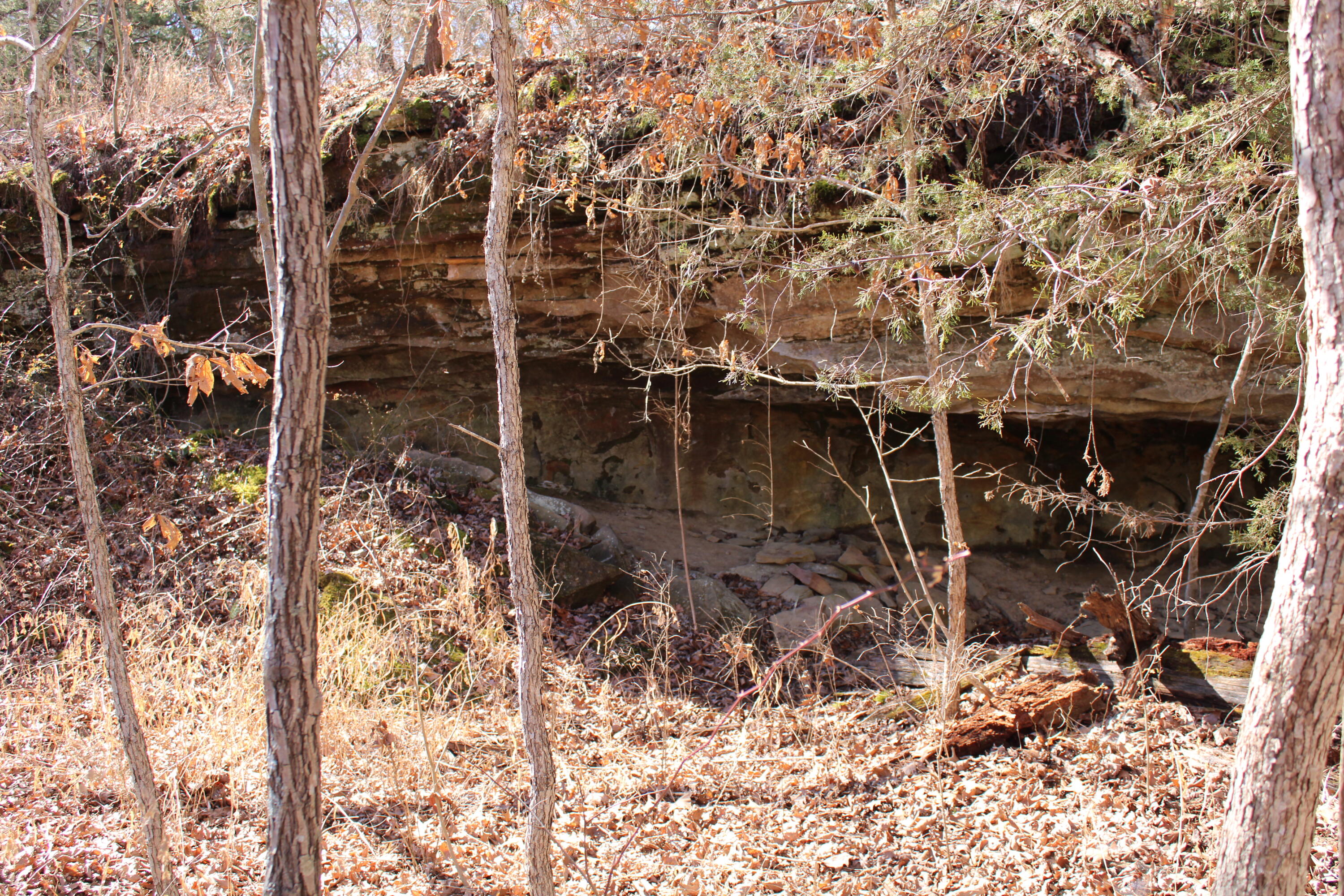 Photo 31 - Land for sale – 000 NE 184 Pvt Road  Osceola, MO