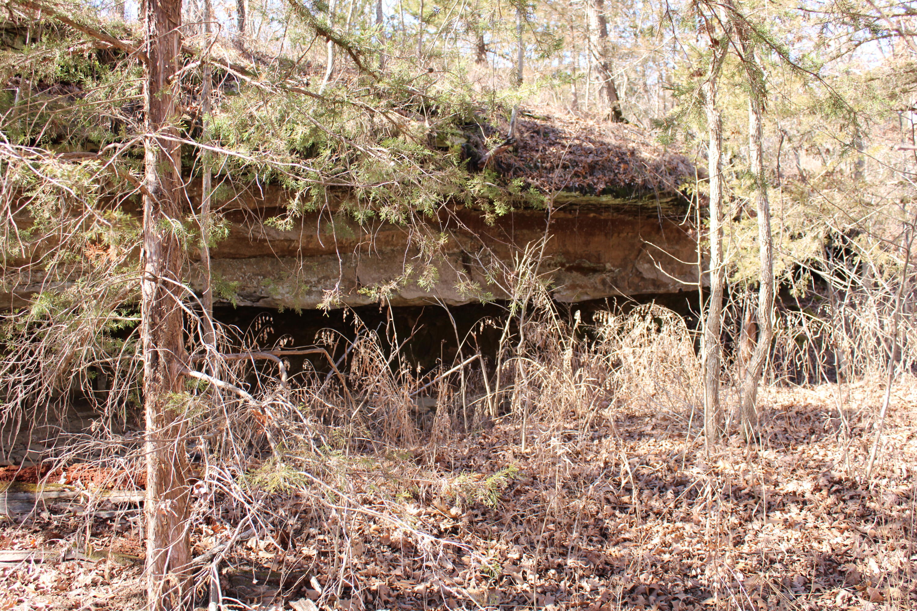 Photo 30 - Land for sale – 000 NE 184 Pvt Road  Osceola, MO