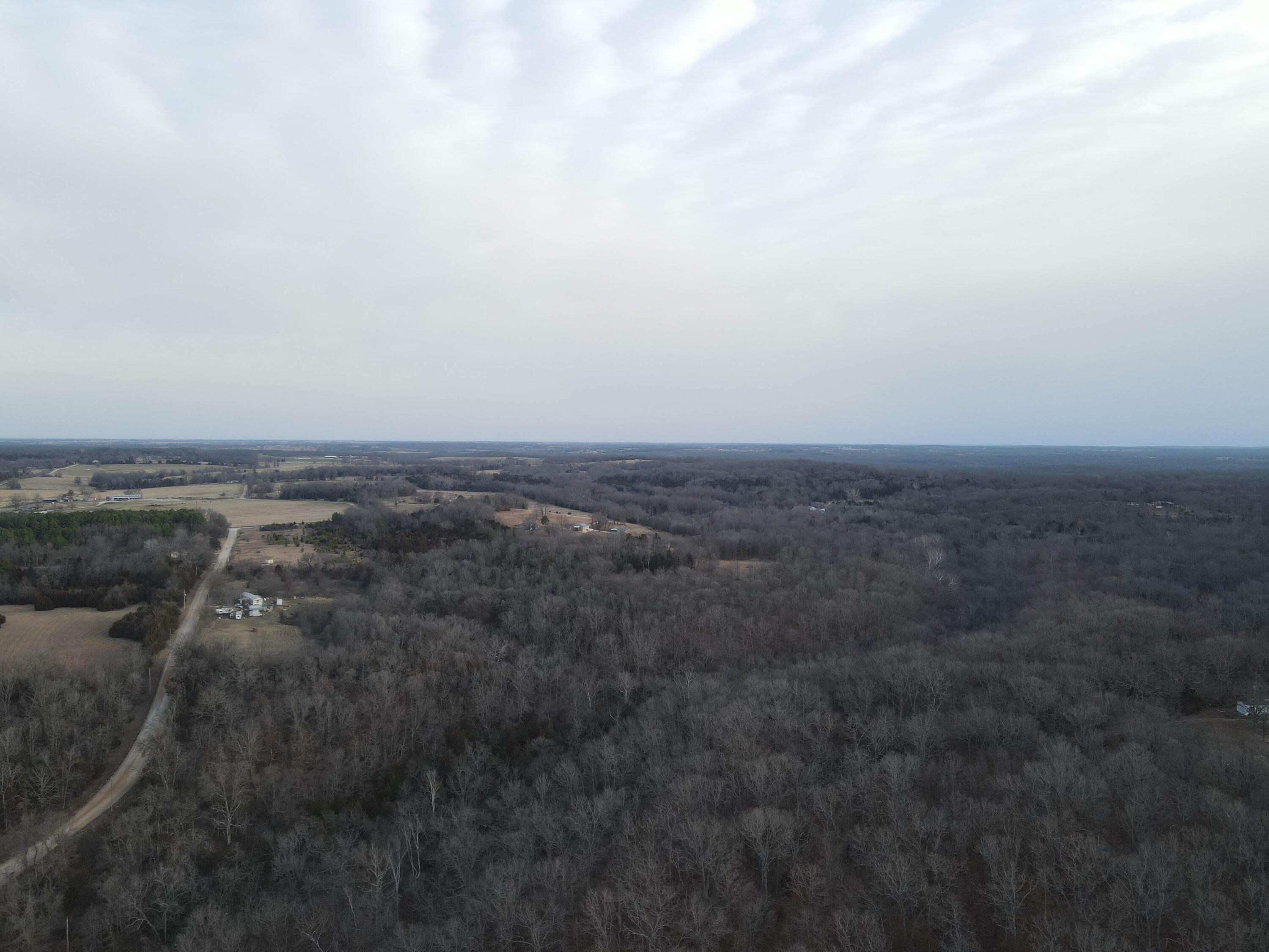 Photo 44 - Land for sale – 000 NE 184 Pvt Road  Osceola, MO