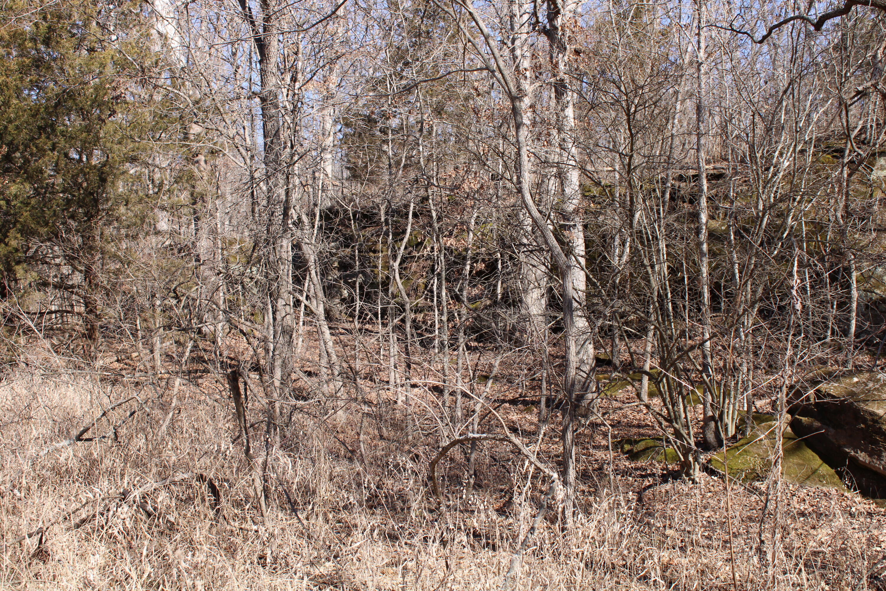 Photo 15 - Land for sale – 000 NE 184 Pvt Road  Osceola, MO