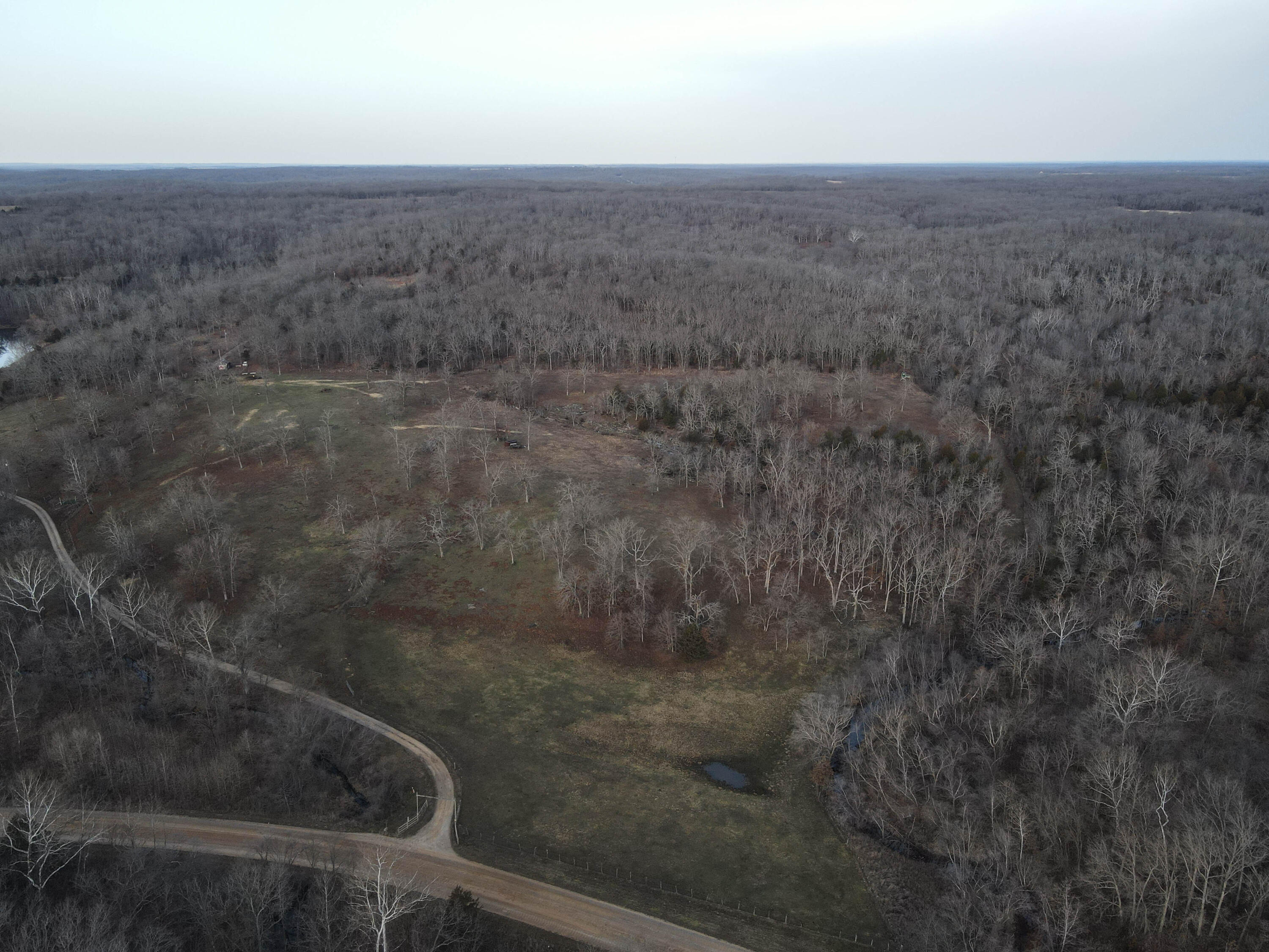 Photo 40 - Land for sale – 000 NE 184 Pvt Road  Osceola, MO