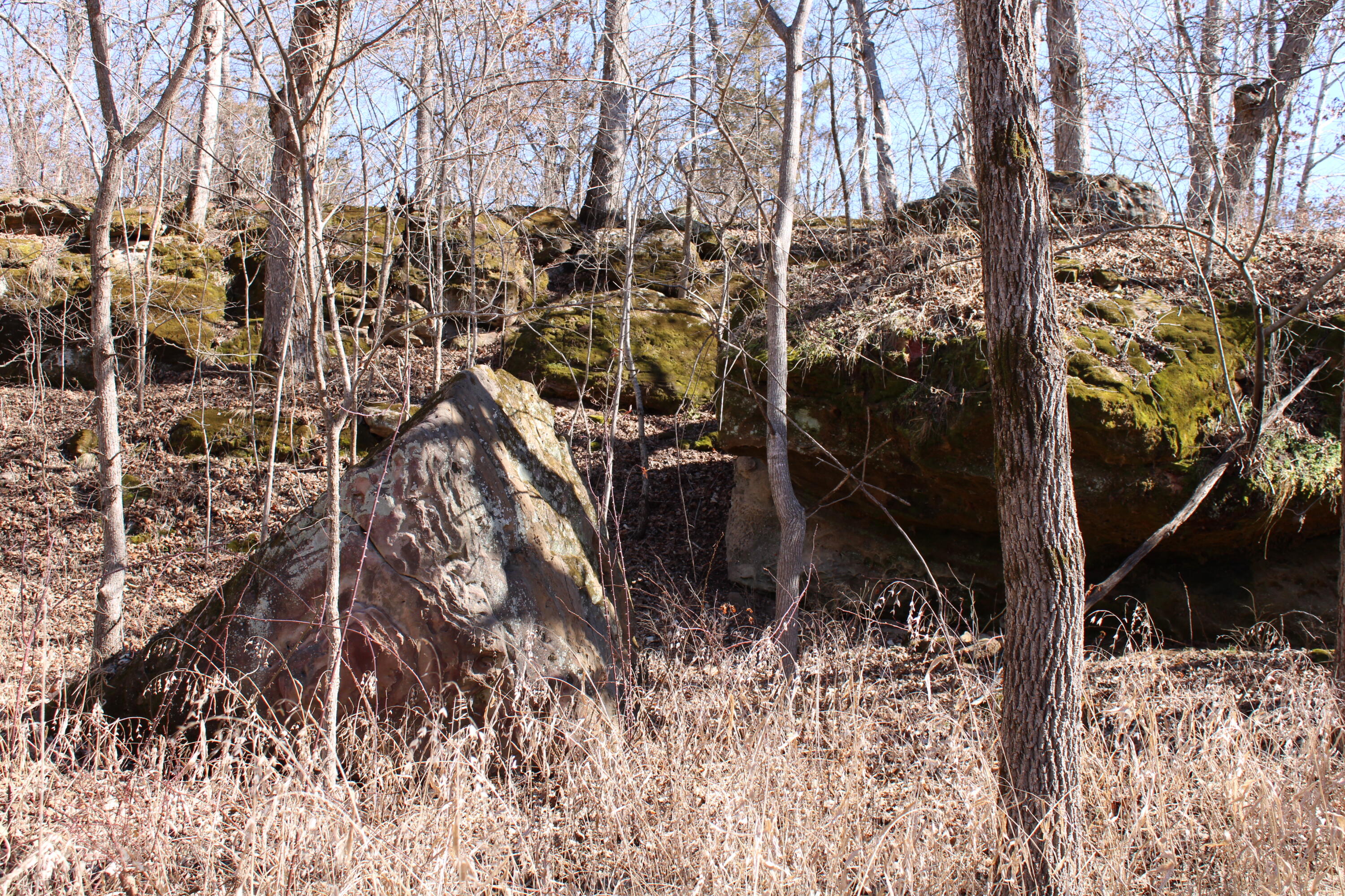 Photo 13 - Land for sale – 000 NE 184 Pvt Road  Osceola, MO