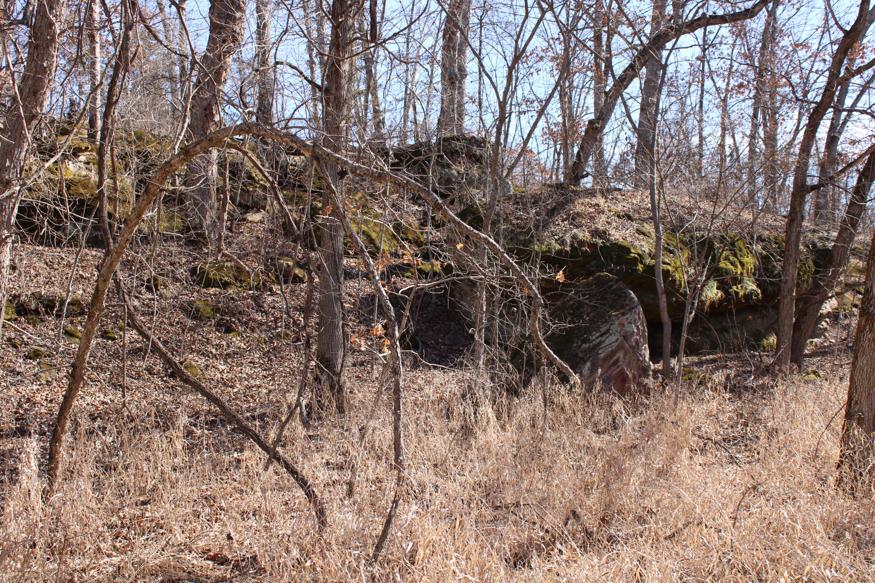 Photo 14 - Land for sale – 000 NE 184 Pvt Road  Osceola, MO