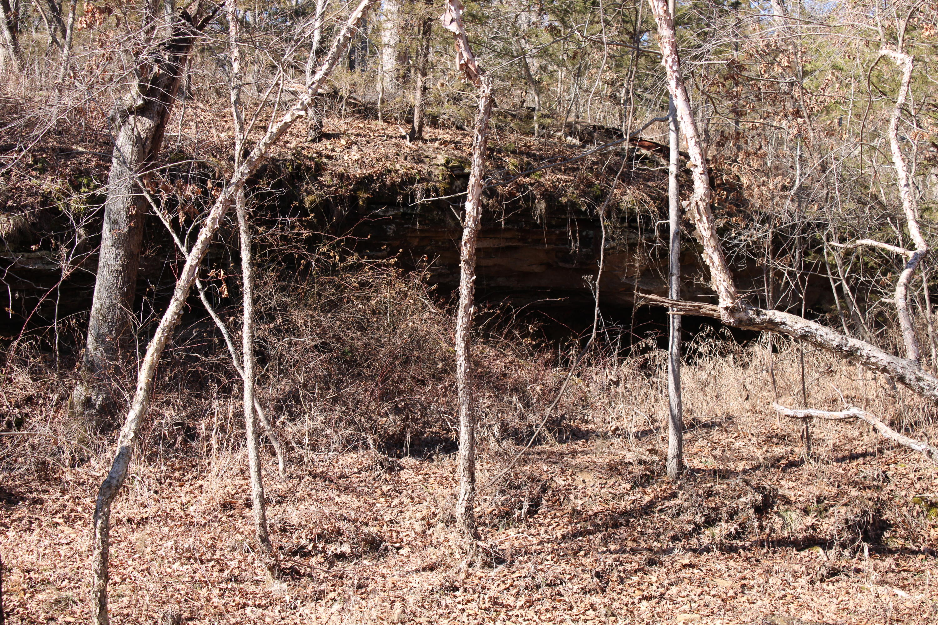 Photo 35 - Land for sale – 000 NE 184 Pvt Road  Osceola, MO