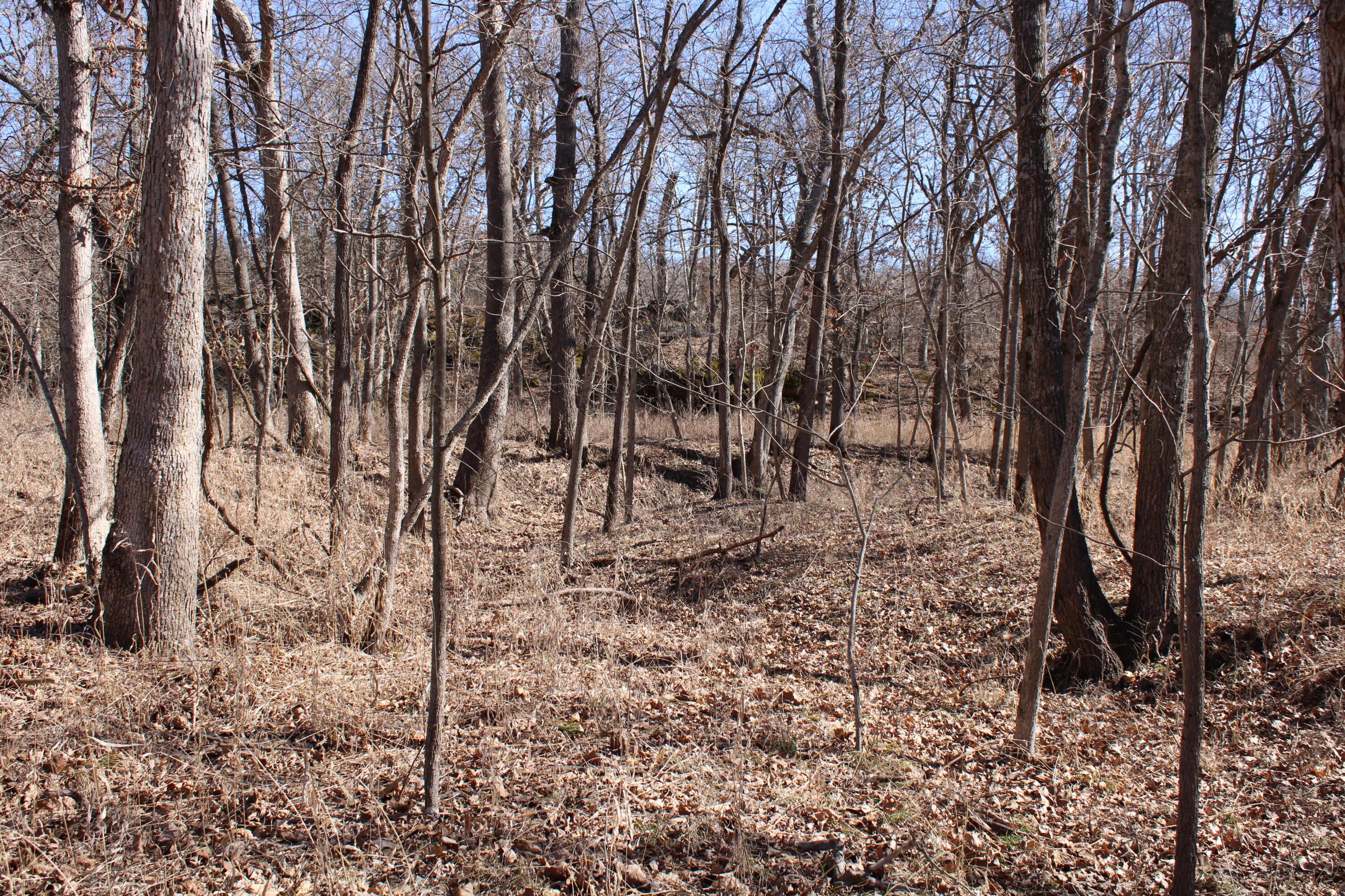 Photo 26 - Land for sale – 000 NE 184 Pvt Road  Osceola, MO