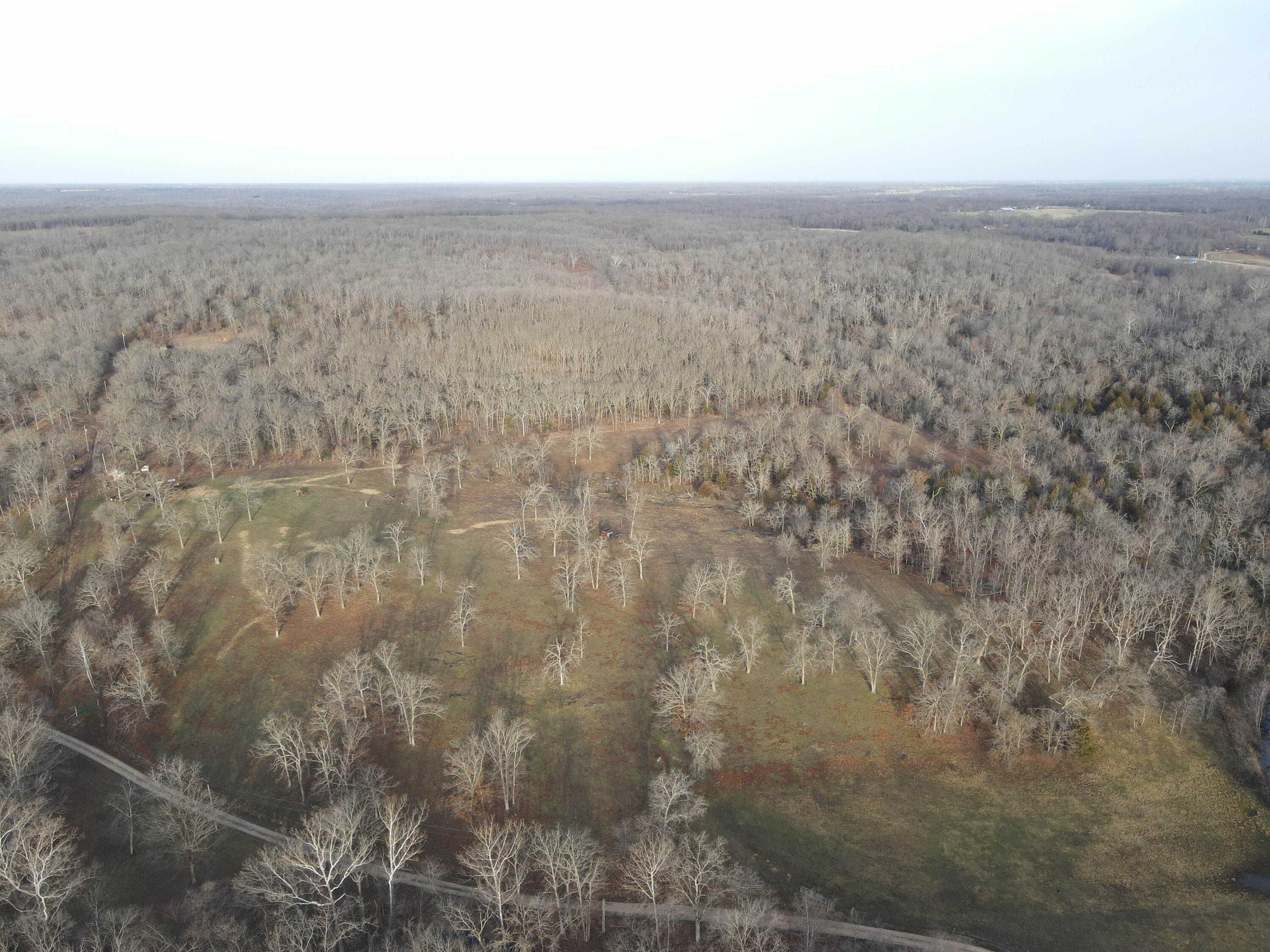 Photo 47 - Land for sale – 000 NE 184 Pvt Road  Osceola, MO