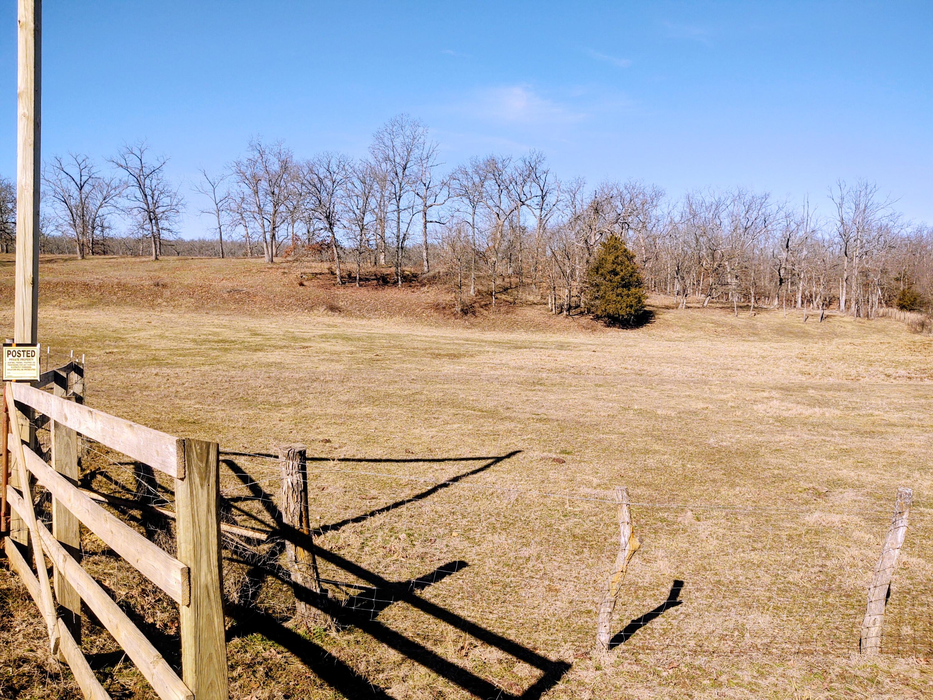 Photo 3 - Land for sale – 000 NE 184 Pvt Road  Osceola, MO