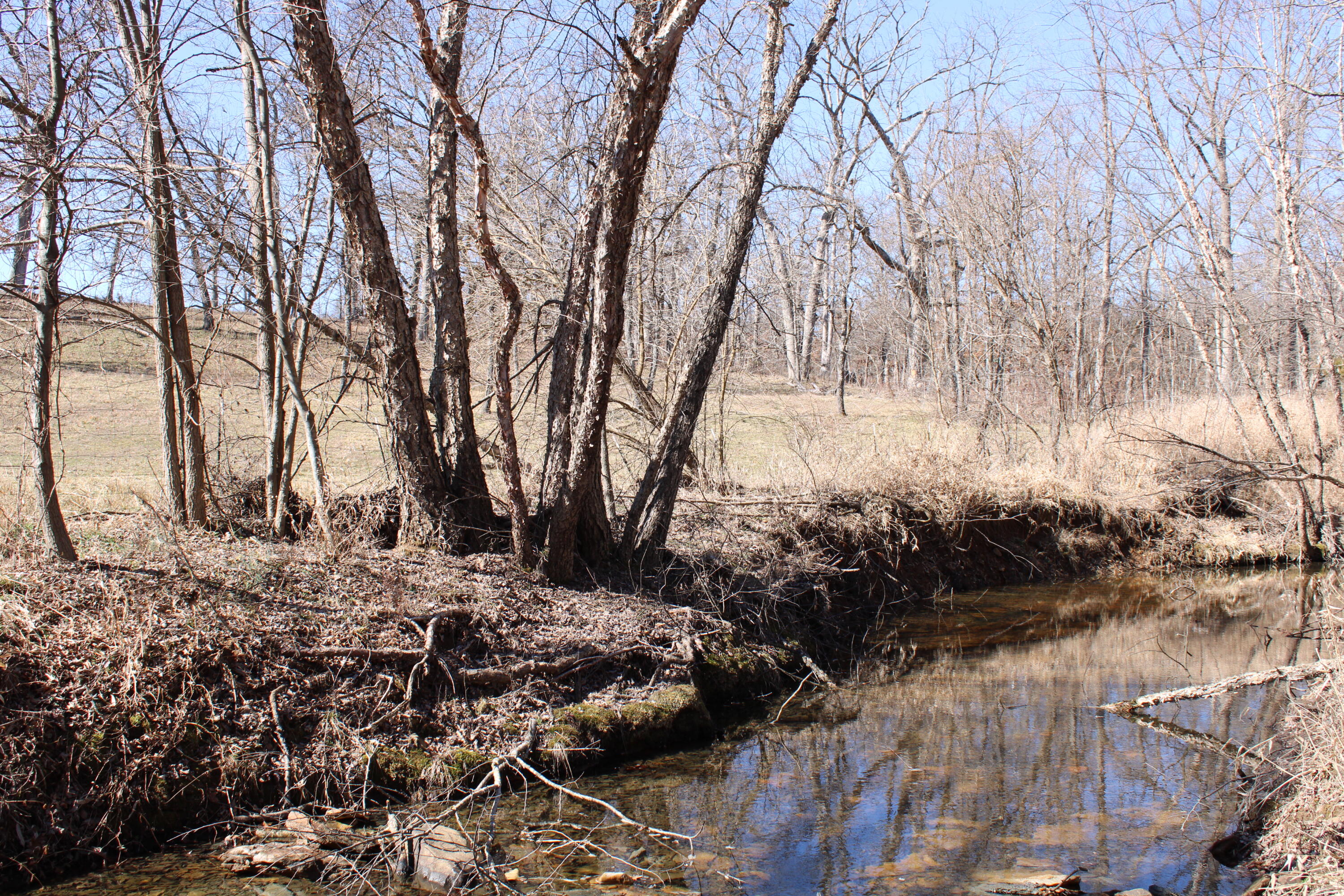 Photo 22 - Land for sale – 000 NE 184 Pvt Road  Osceola, MO
