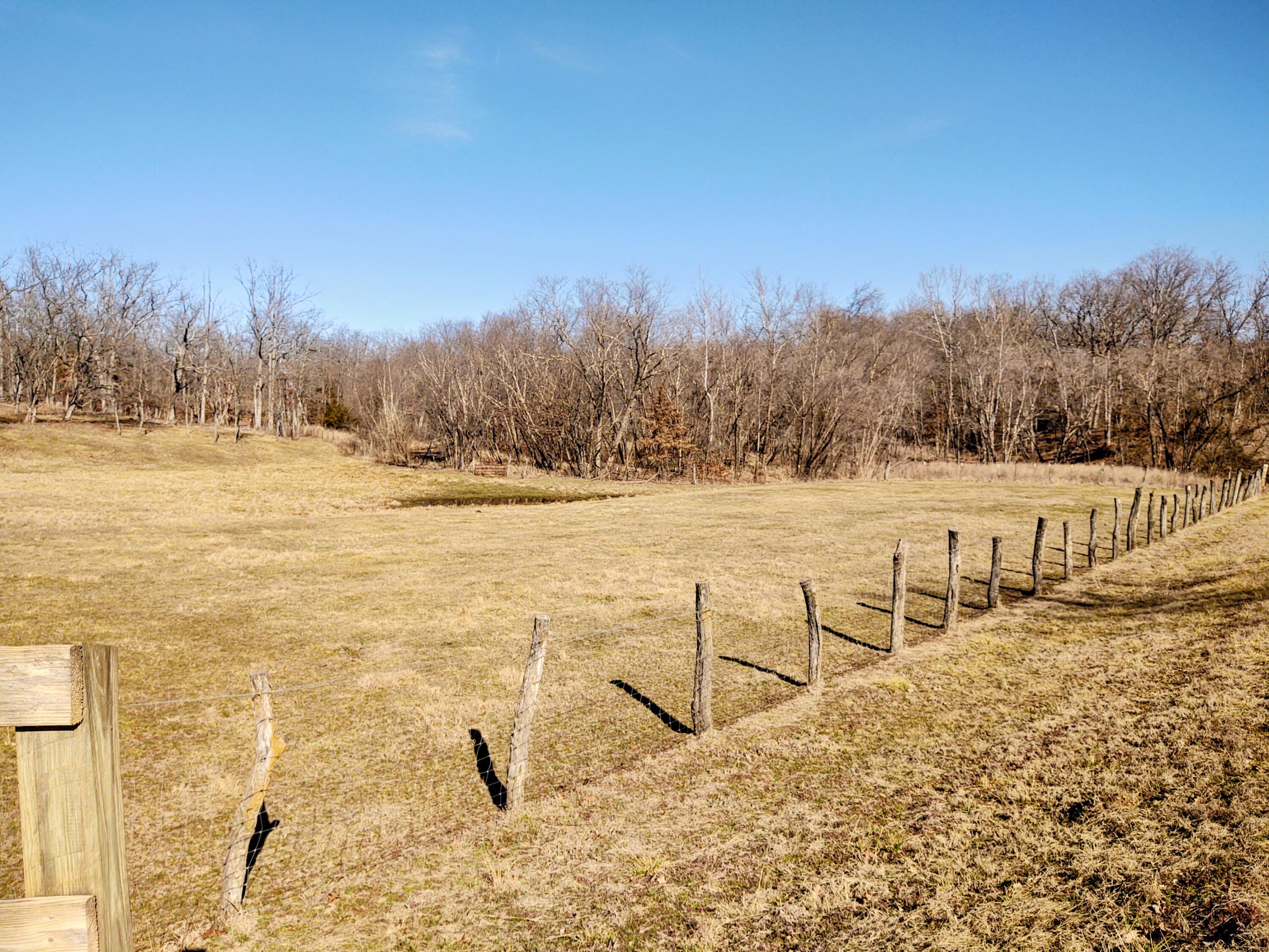 Photo 2 - Land for sale – 000 NE 184 Pvt Road  Osceola, MO