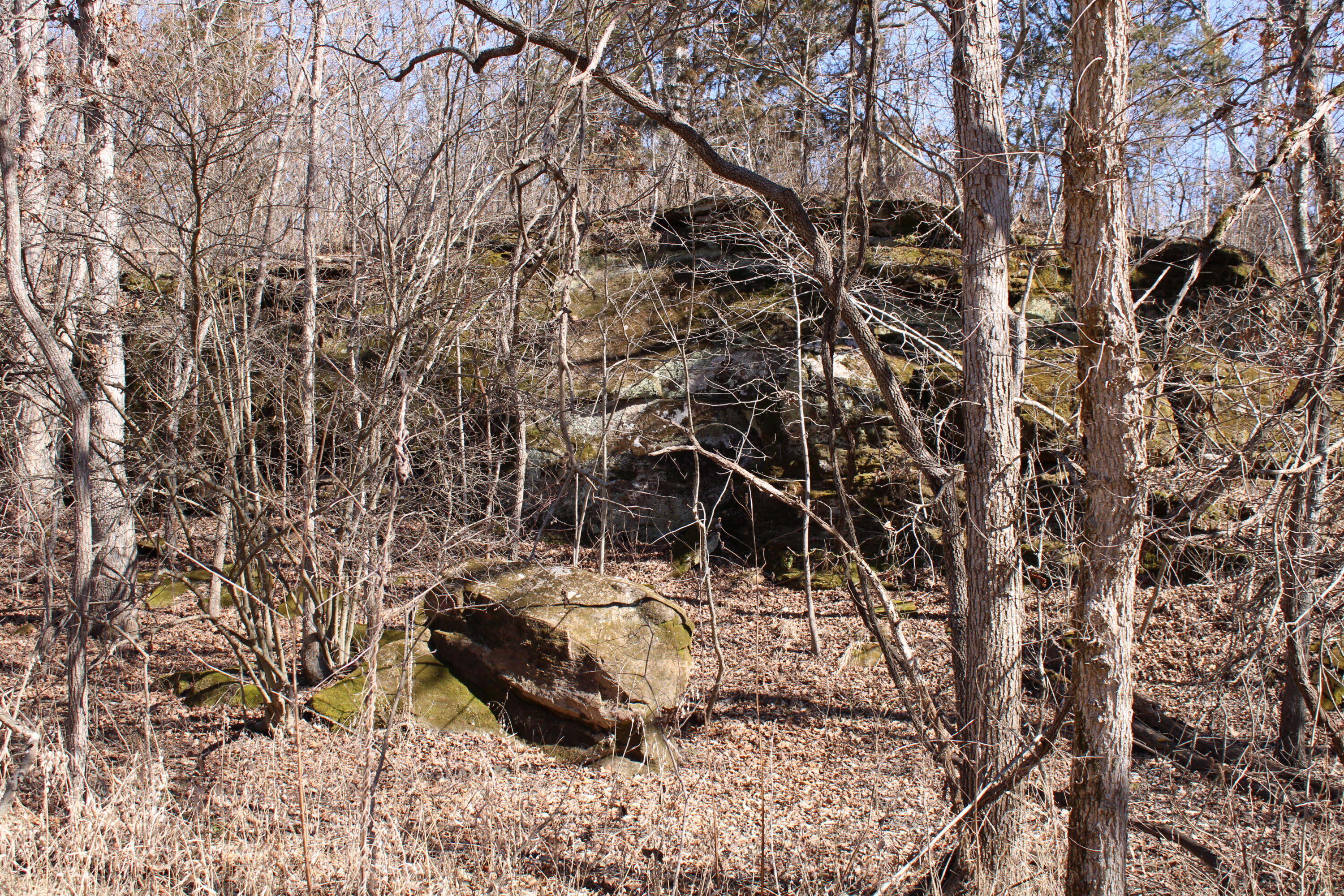 Photo 16 - Land for sale – 000 NE 184 Pvt Road  Osceola, MO