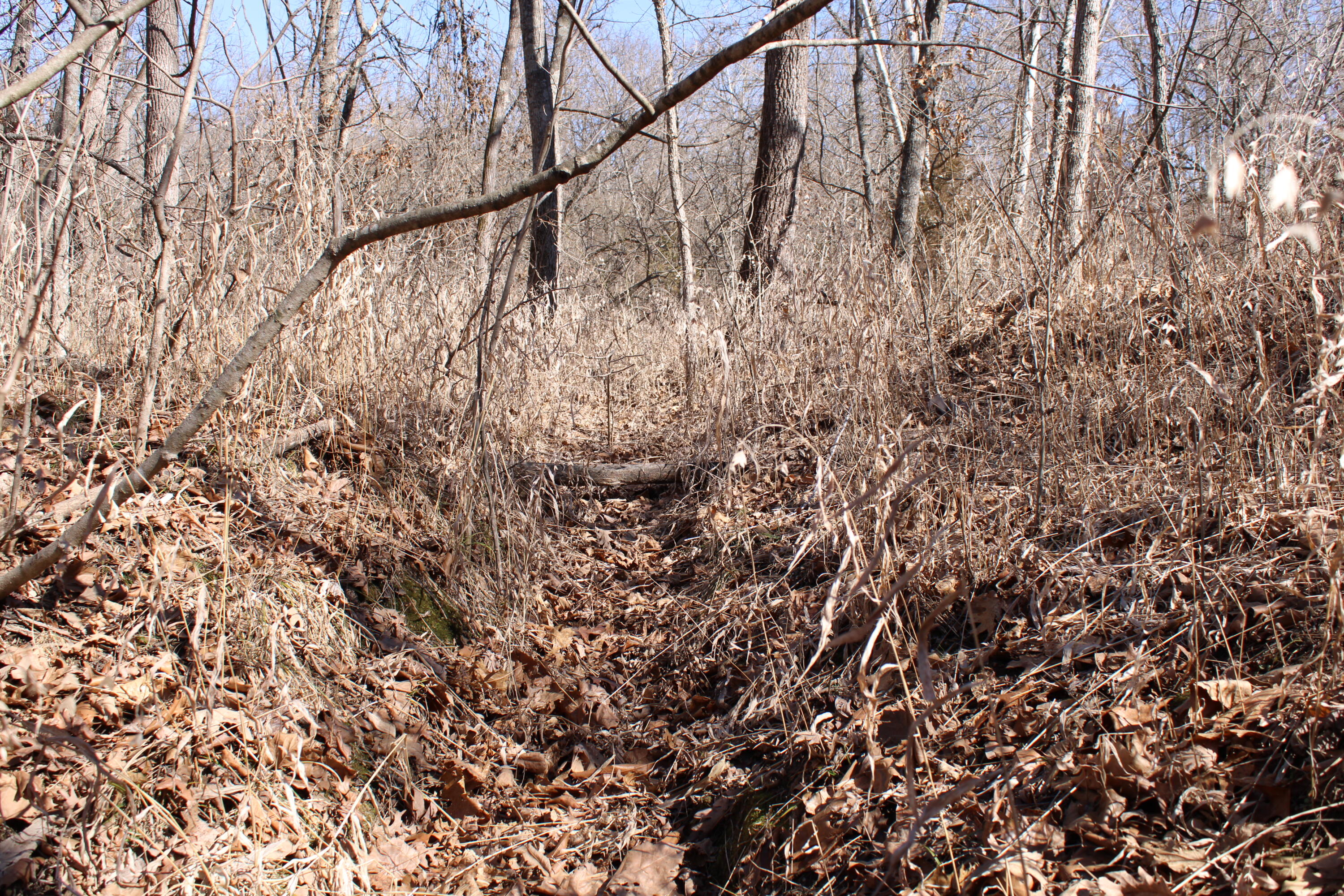 Photo 29 - Land for sale – 000 NE 184 Pvt Road  Osceola, MO
