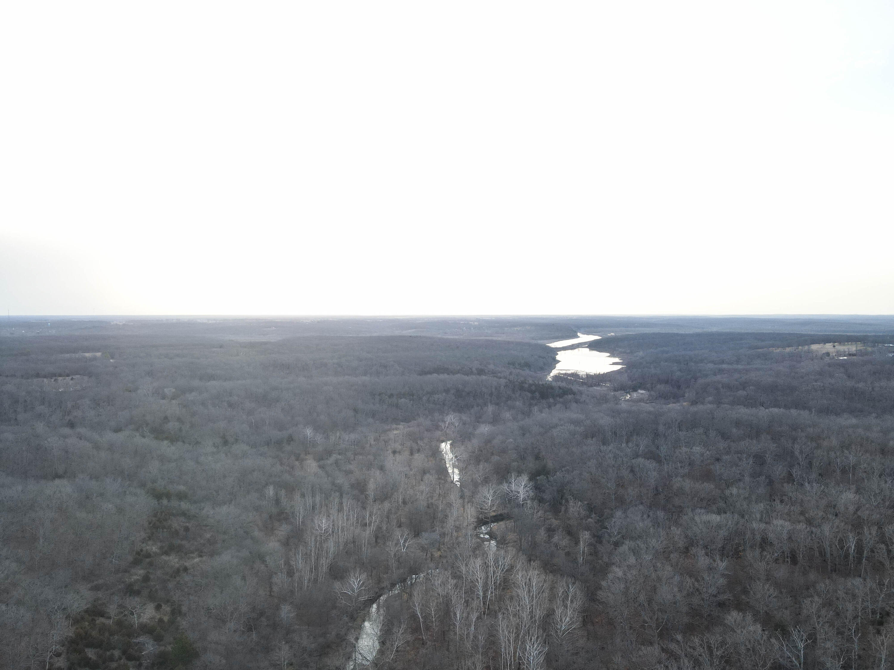 Photo 43 - Land for sale – 000 NE 184 Pvt Road  Osceola, MO