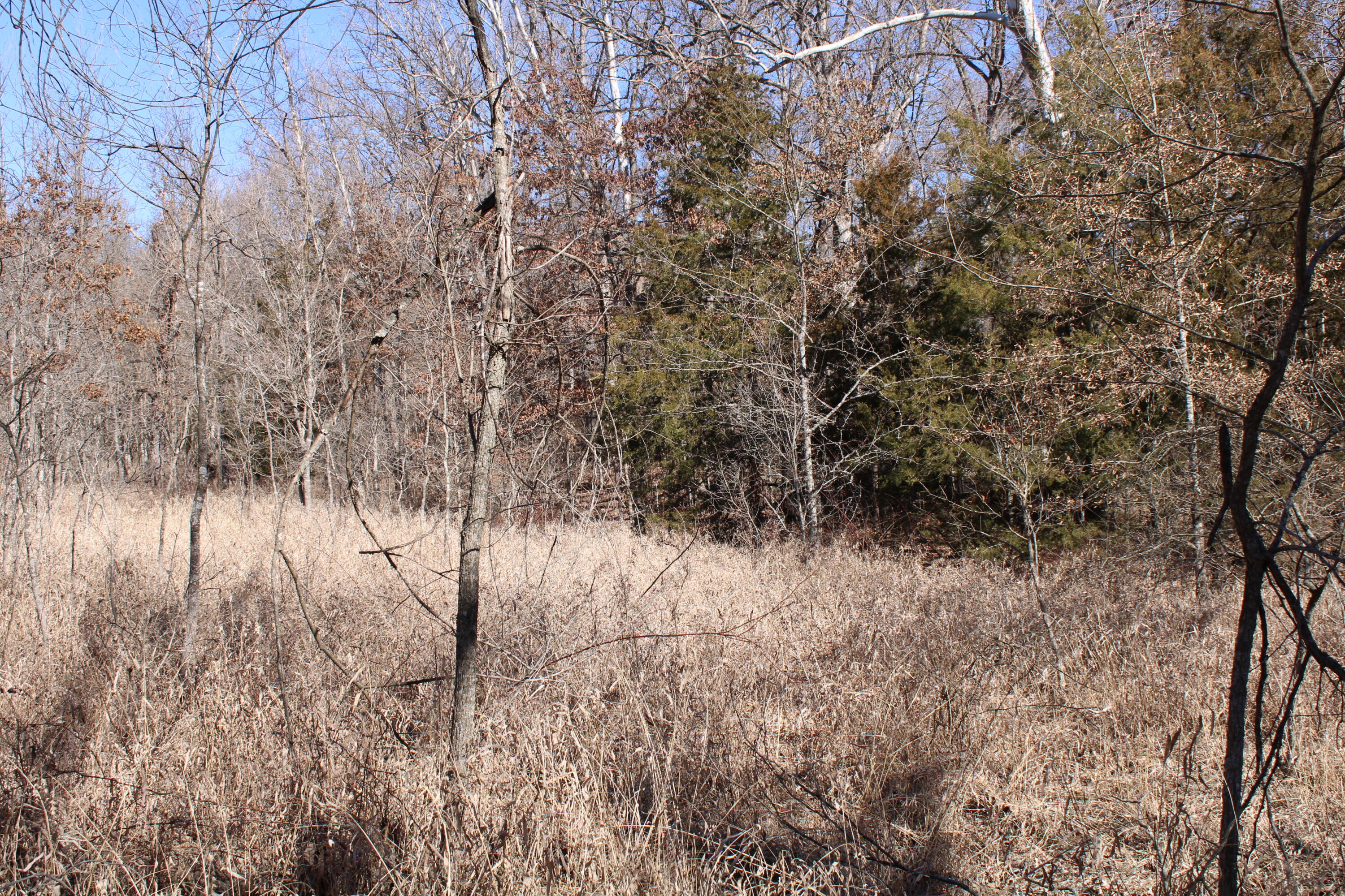 Photo 17 - Land for sale – 000 NE 184 Pvt Road  Osceola, MO