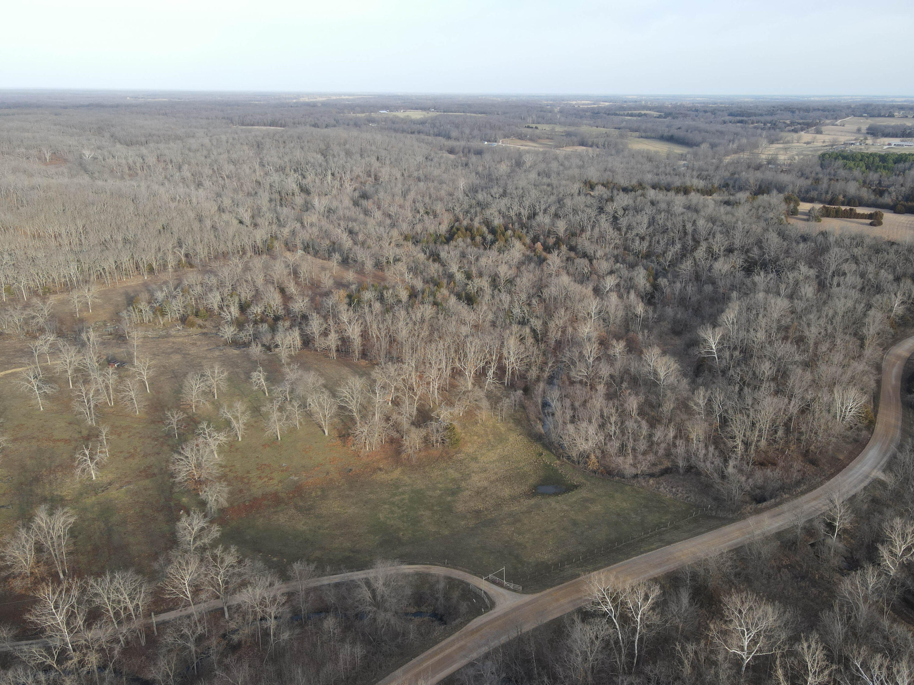 Photo 48 - Land for sale – 000 NE 184 Pvt Road  Osceola, MO