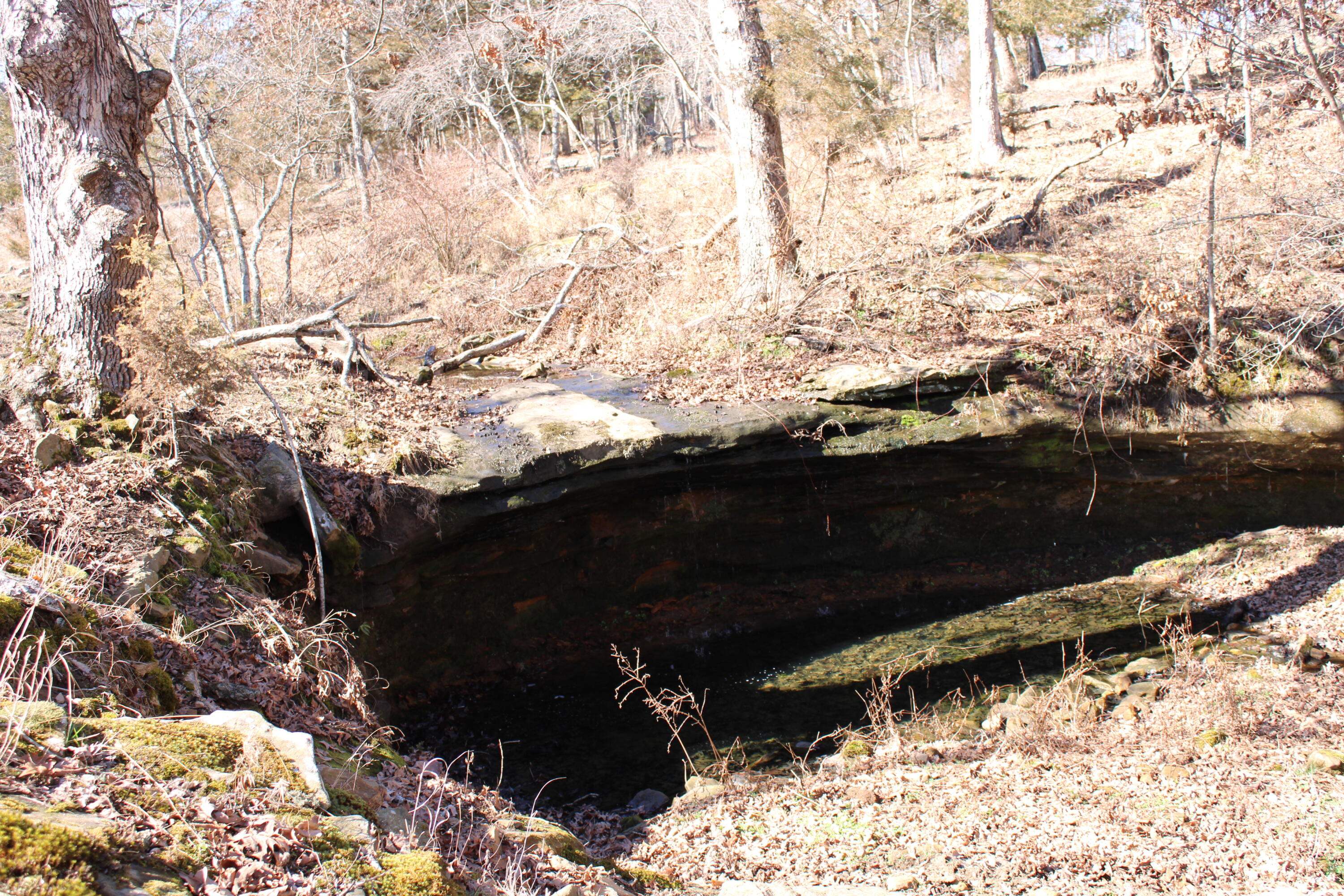 Photo 20 - Land for sale – 000 NE 184 Pvt Road  Osceola, MO