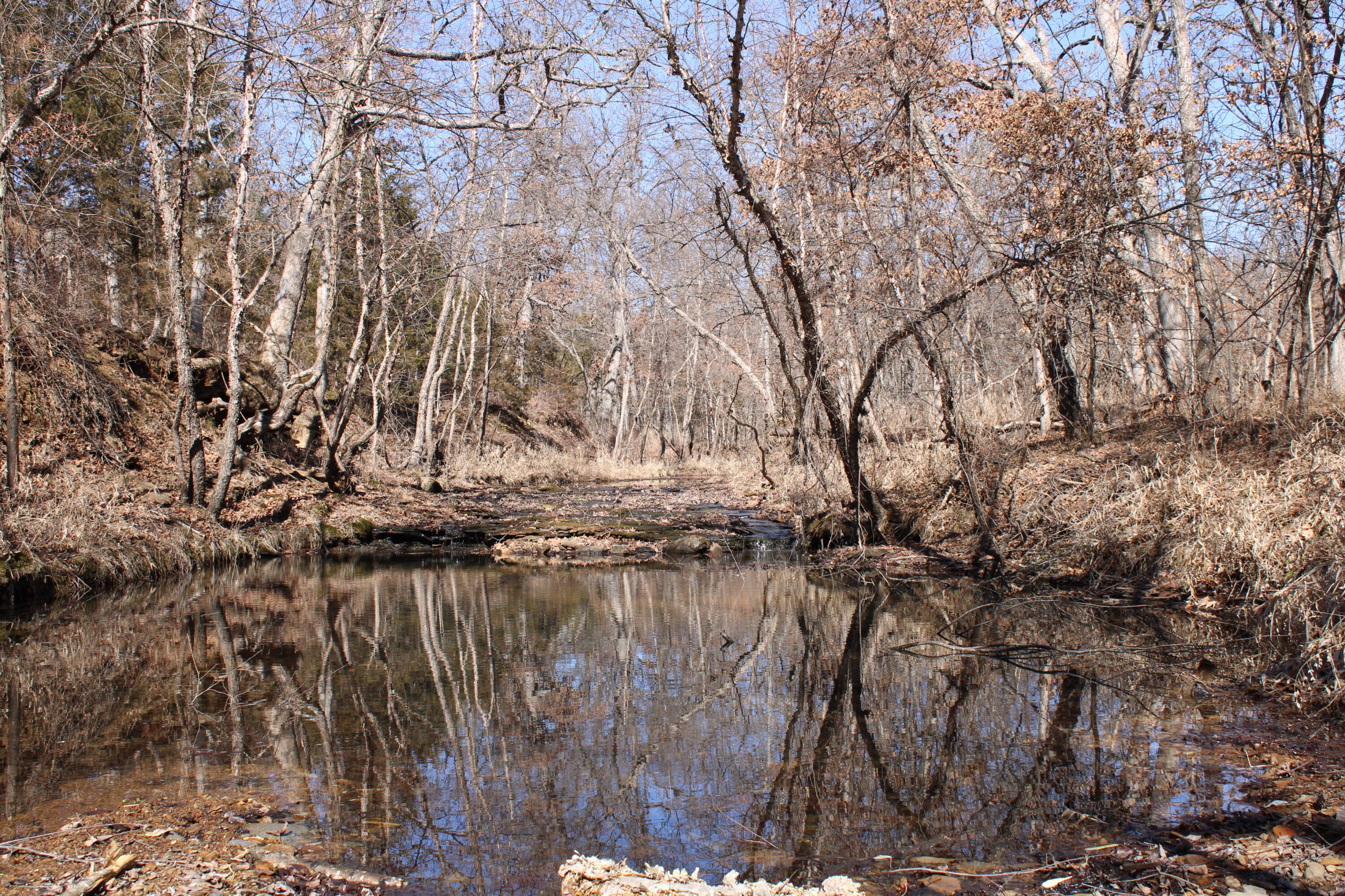 Photo 9 - Land for sale – 000 NE 184 Pvt Road  Osceola, MO