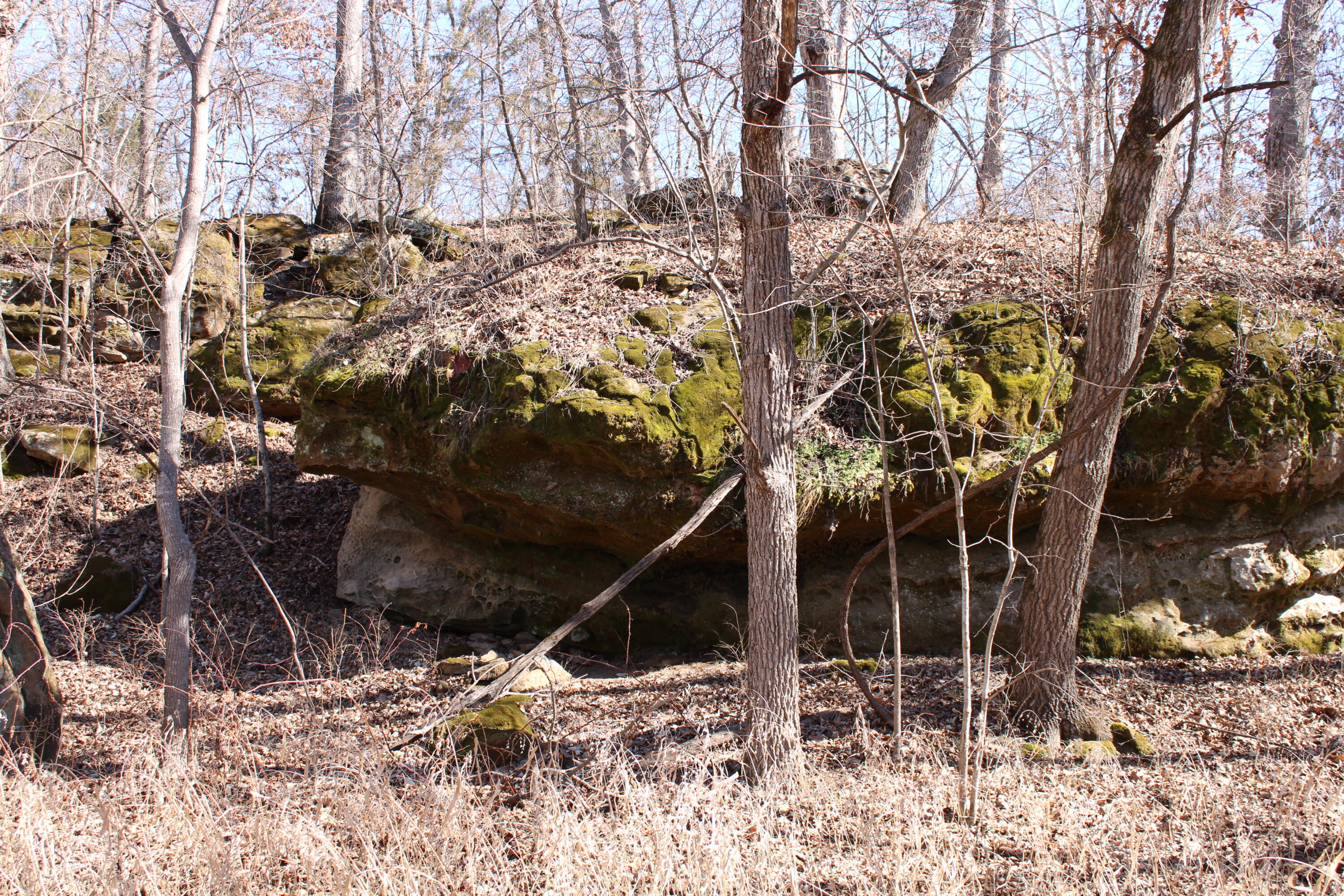 Photo 12 - Land for sale – 000 NE 184 Pvt Road  Osceola, MO