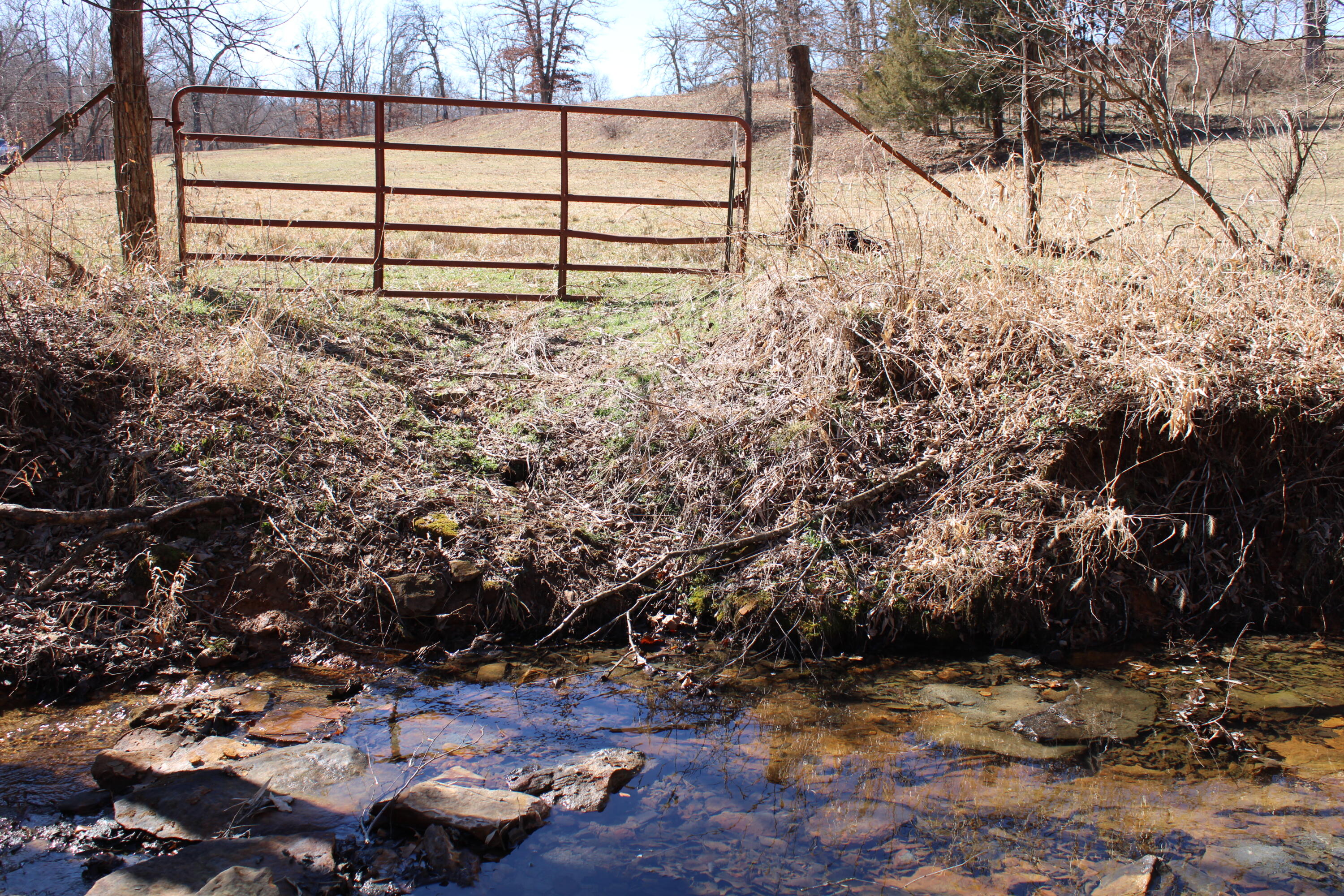 Photo 24 - Land for sale – 000 NE 184 Pvt Road  Osceola, MO