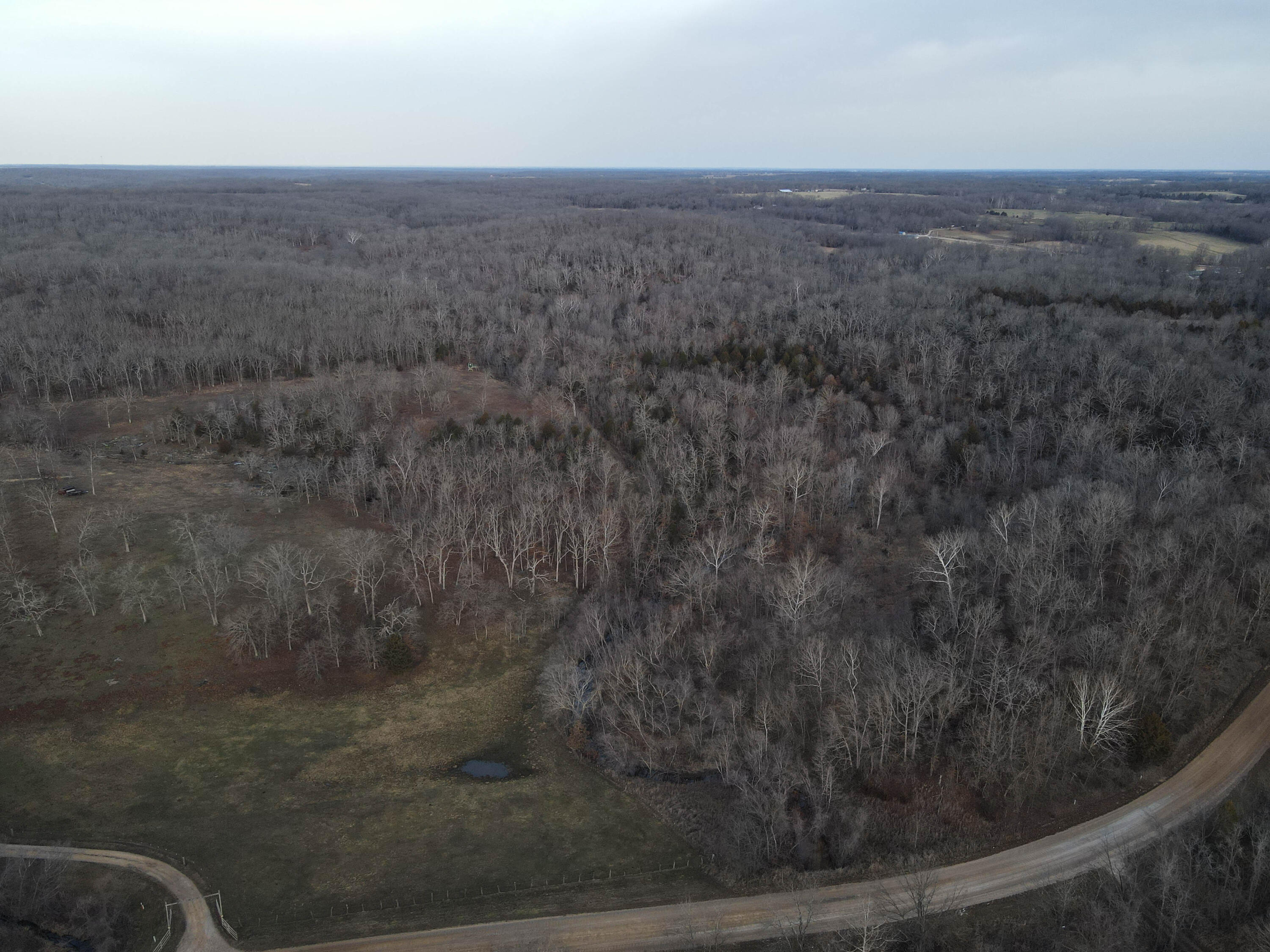 Photo 36 - Land for sale – 000 NE 184 Pvt Road  Osceola, MO