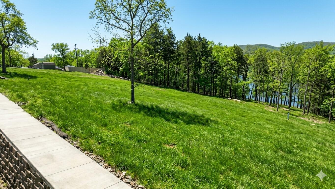 Photo 5 - Land for sale – 11  Tall Cedar Lane  Reeds Spring, MO