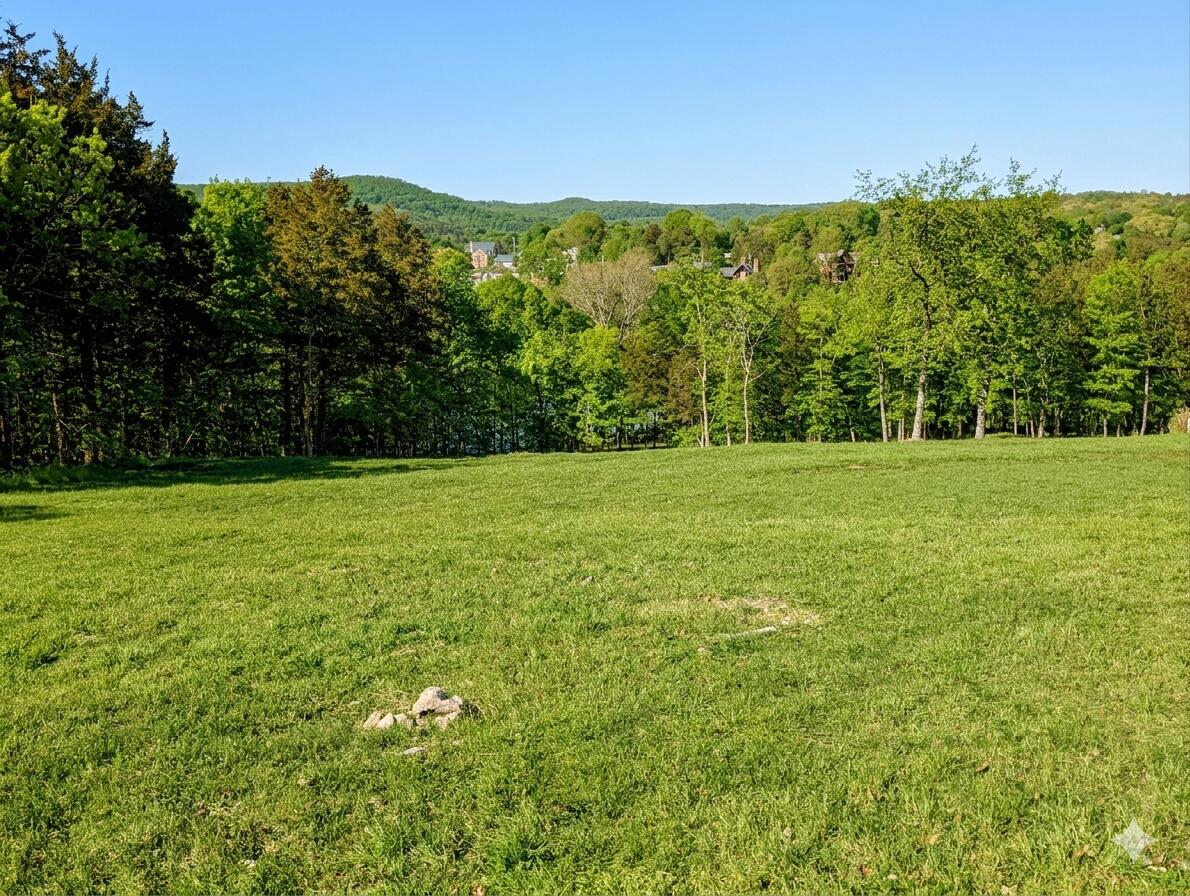 Photo 2 - Land for sale – 11  Tall Cedar Lane  Reeds Spring, MO