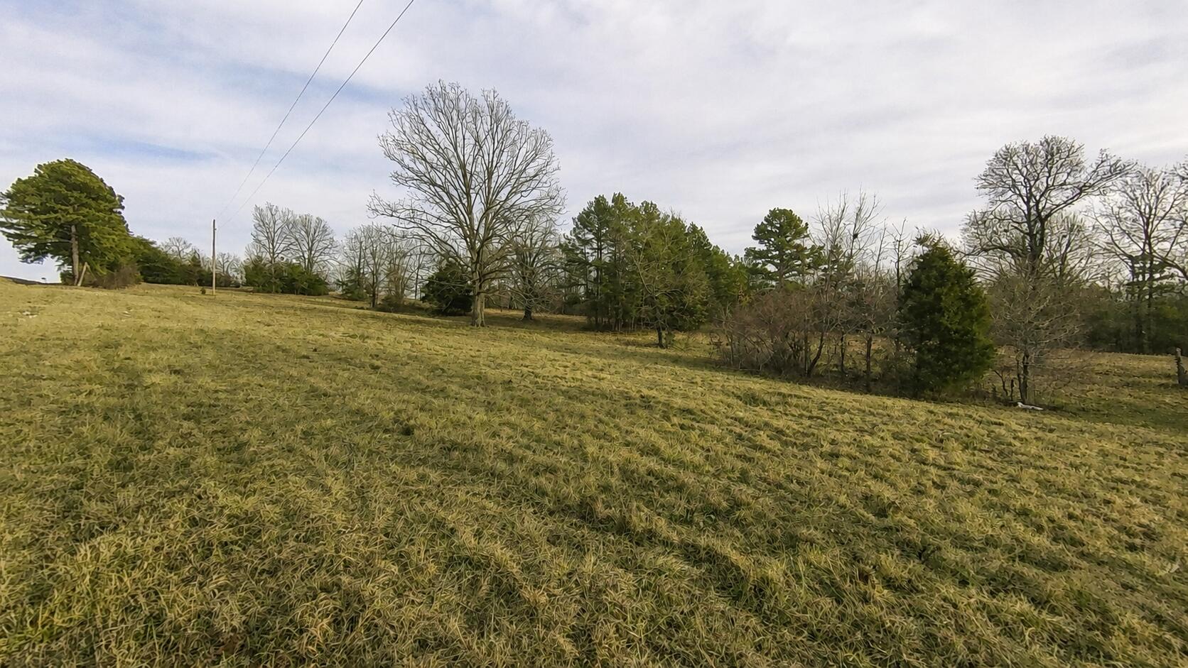 Photo 16 - Commercial Sale for sale – 1618  County Road 2950   Mountain View, MO