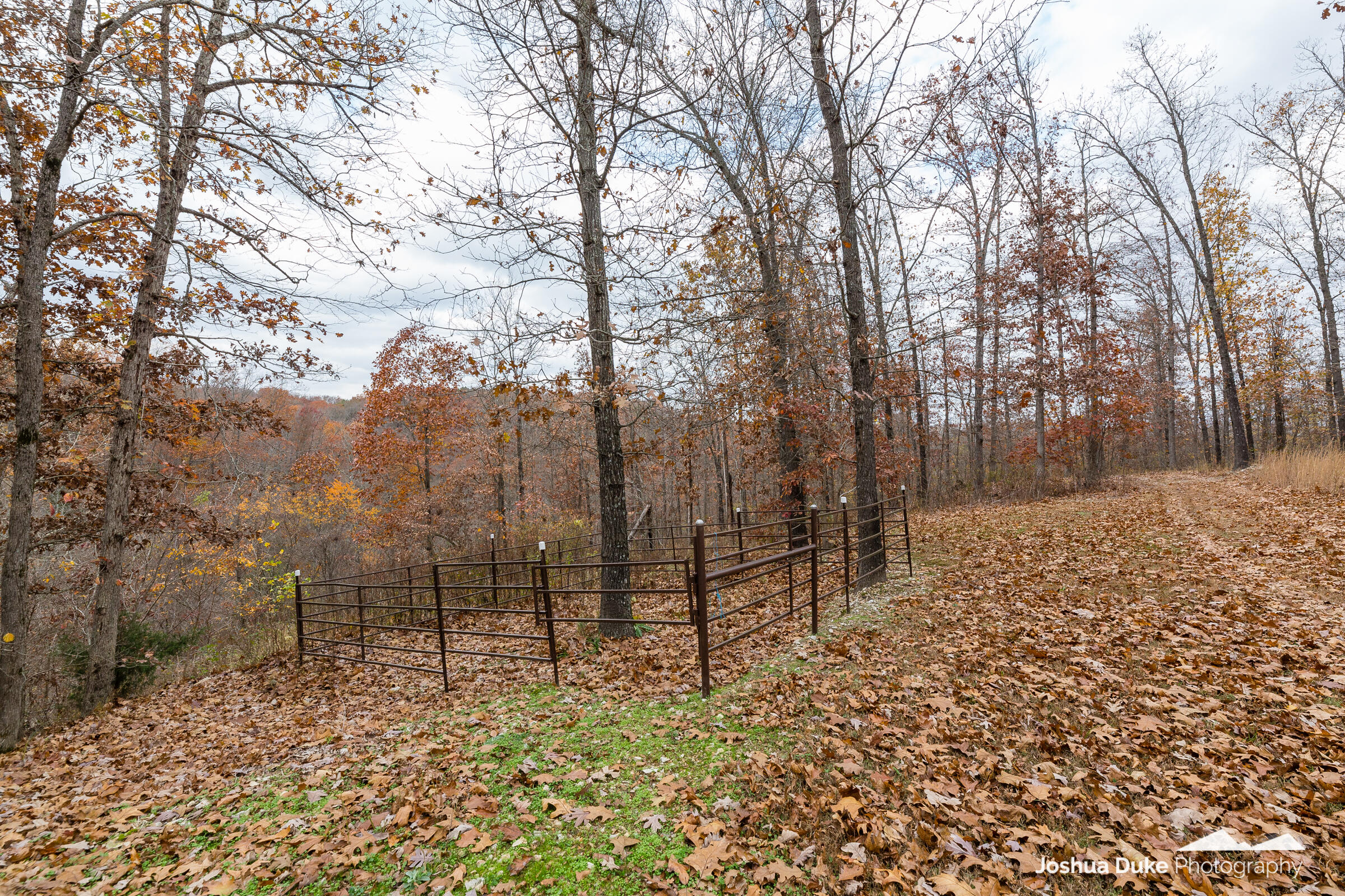 Photo 23 - Land for sale – 5641  Route K Tract B   Pineville, MO