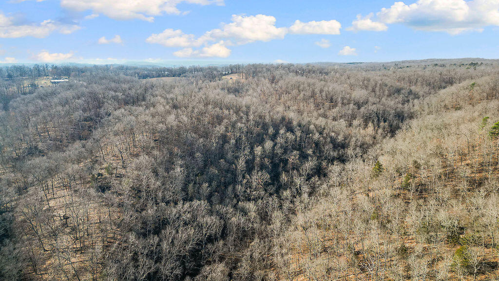 Photo 28 - Land for sale – 5641  Route K Tract B   Pineville, MO