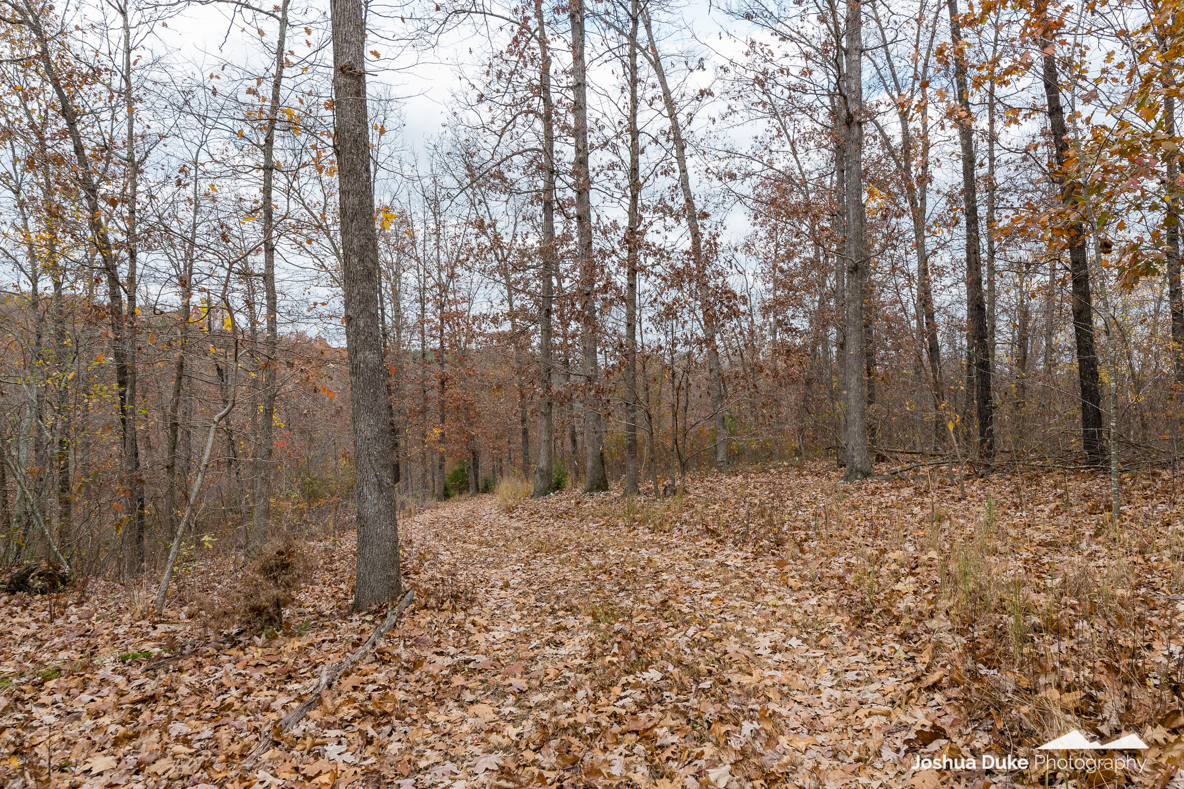 Photo 24 - Land for sale – 5641  Route K Tract B   Pineville, MO