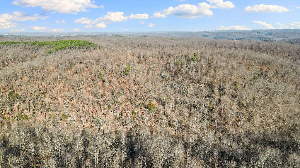 Photo 27 - Land for sale – 5641  Route K Tract B   Pineville, MO