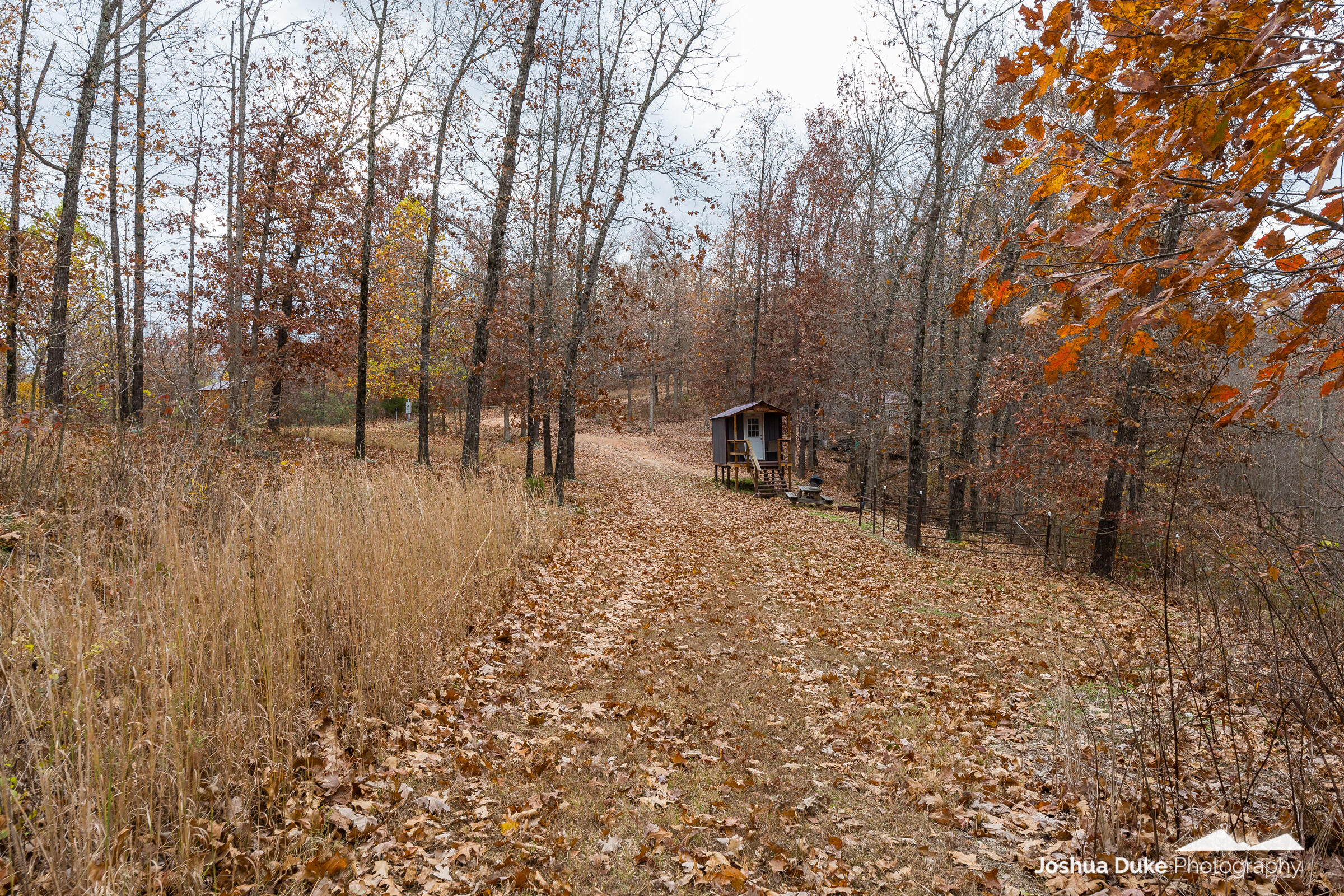 Photo 18 - Land for sale – 5641  Route K Tract B   Pineville, MO
