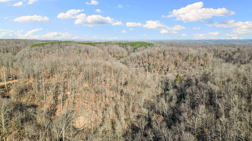 Photo 26 - Land for sale – 5641  Route K Tract B   Pineville, MO