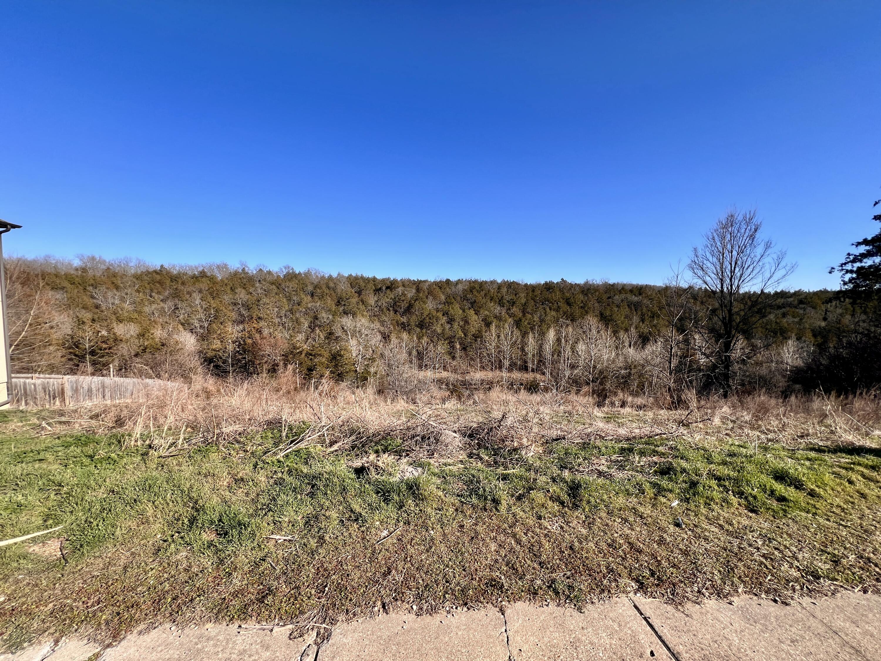 Photo 2 - Land for sale – 121  Jury Lane  Branson, MO