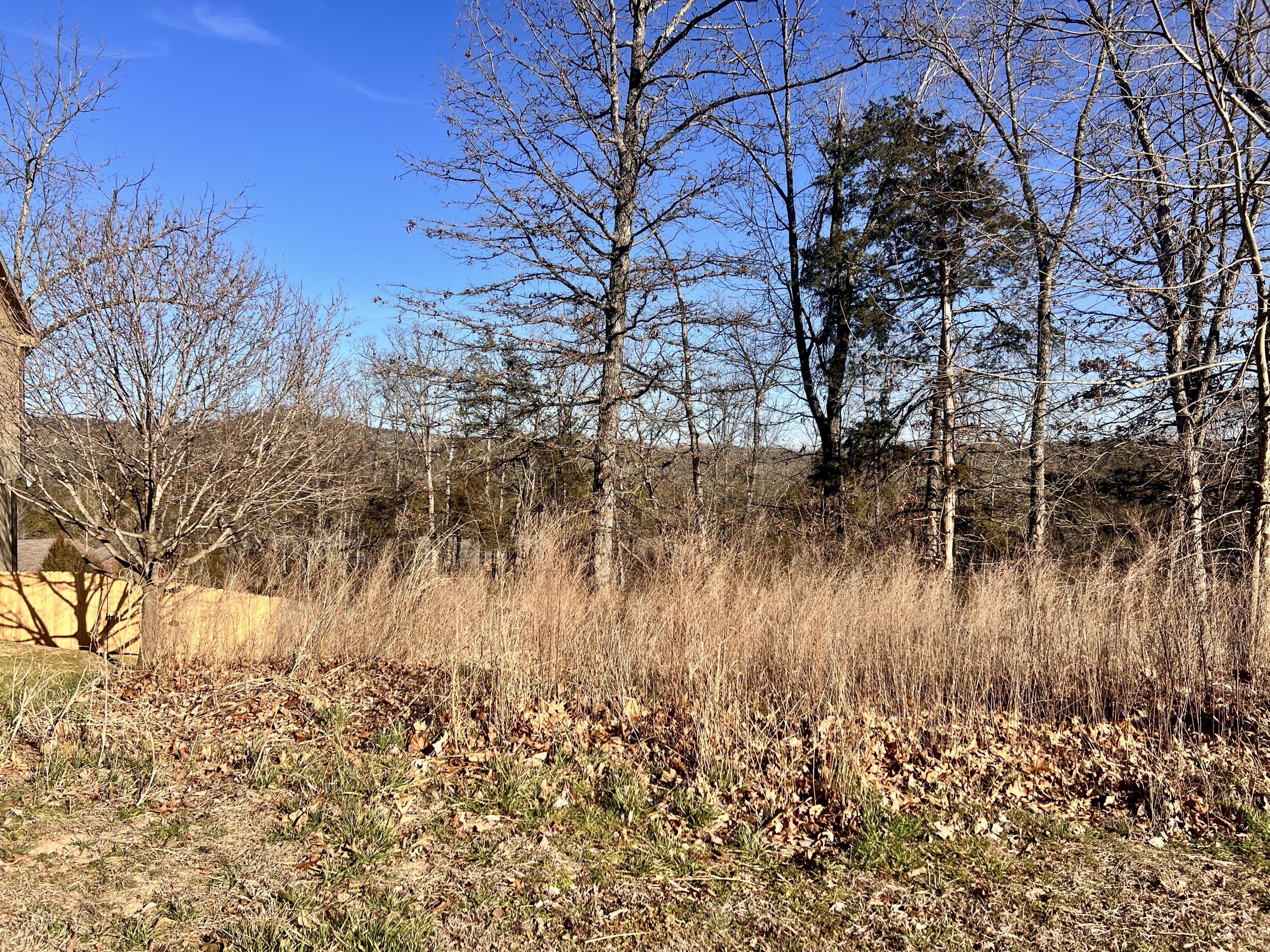 Land for sale – 186  Country Ridge Way  Branson, MO