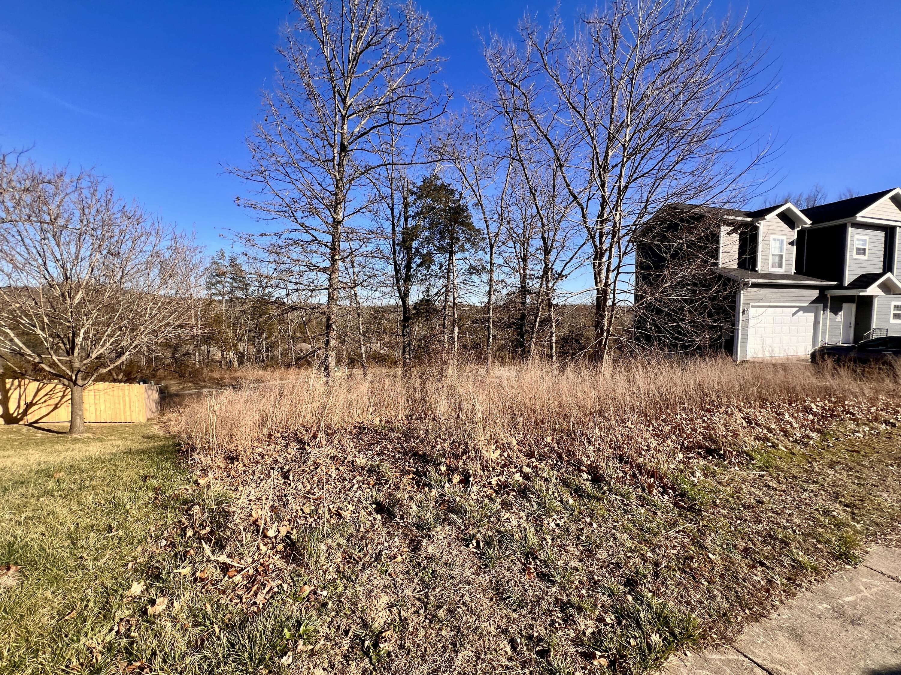 Photo 2 - Land for sale – 186  Country Ridge Way  Branson, MO