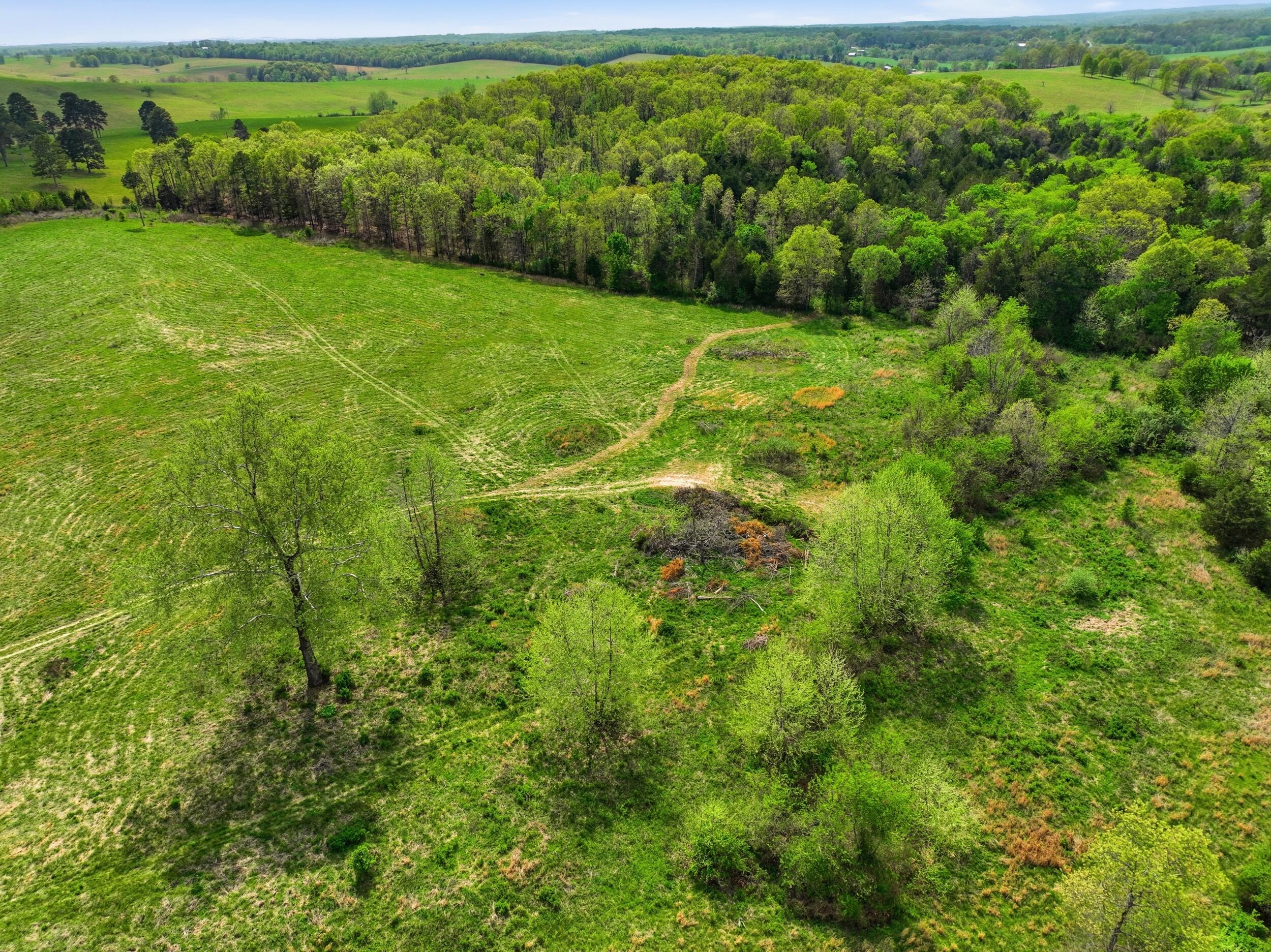 Photo 64 - Residential for sale – 3650/3648  County Road 6540   West Plains, MO