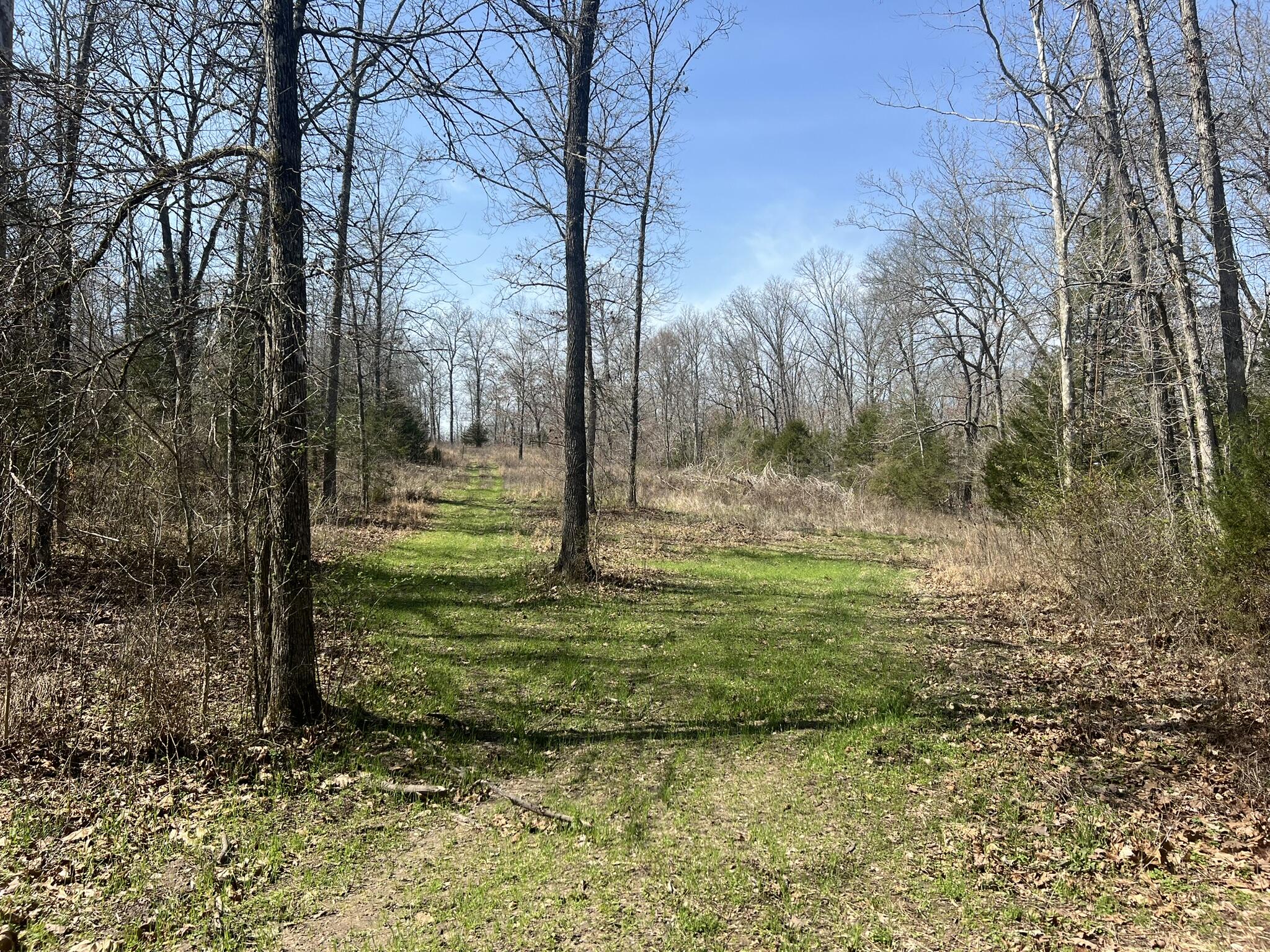 Photo 56 - Residential for sale – 1452  County Road 542   Caulfield, MO