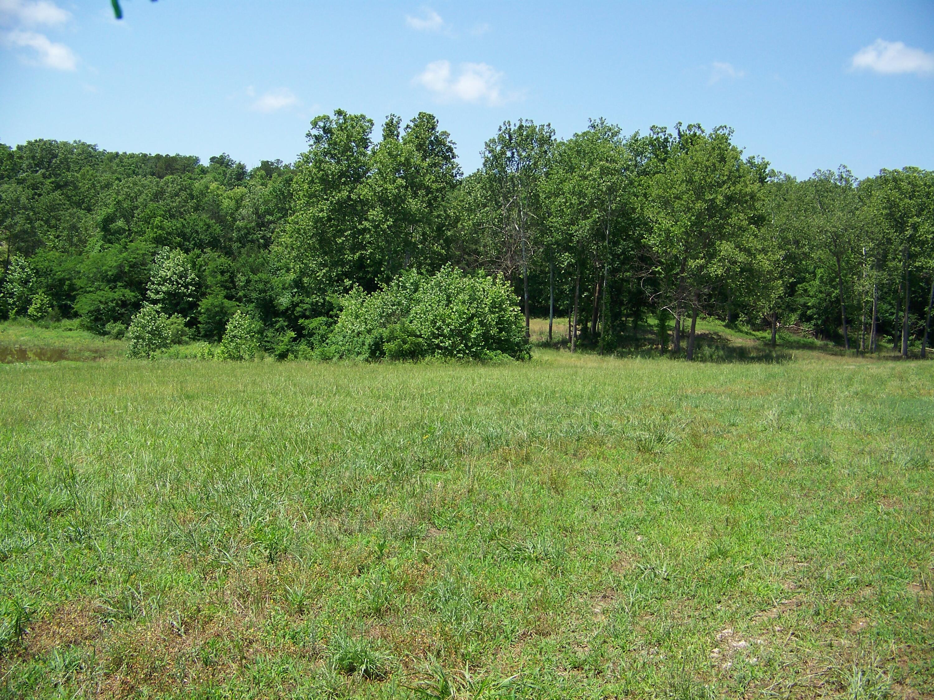 Photo 64 - Residential for sale – 1452  County Road 542   Caulfield, MO