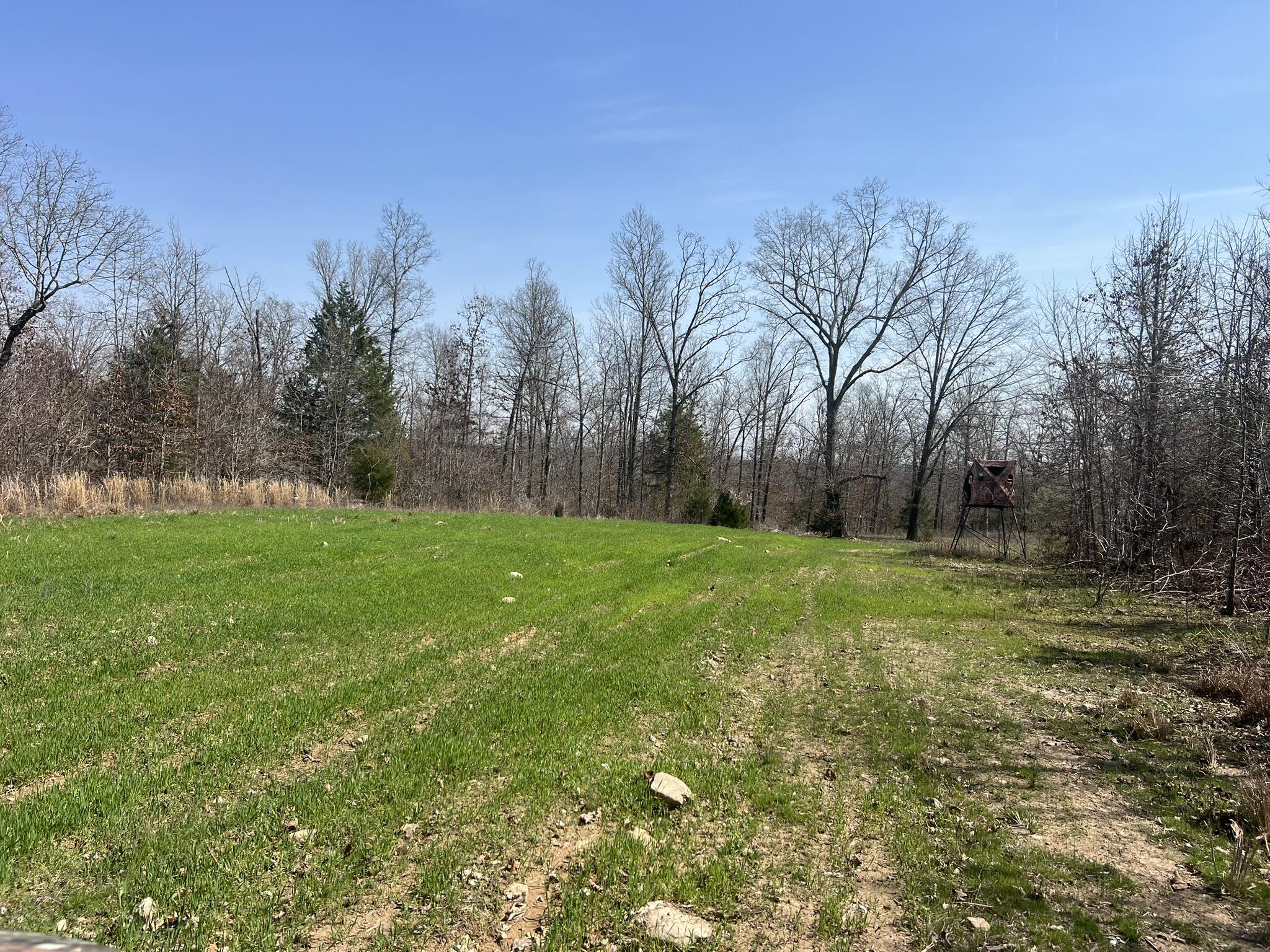 Photo 57 - Residential for sale – 1452  County Road 542   Caulfield, MO