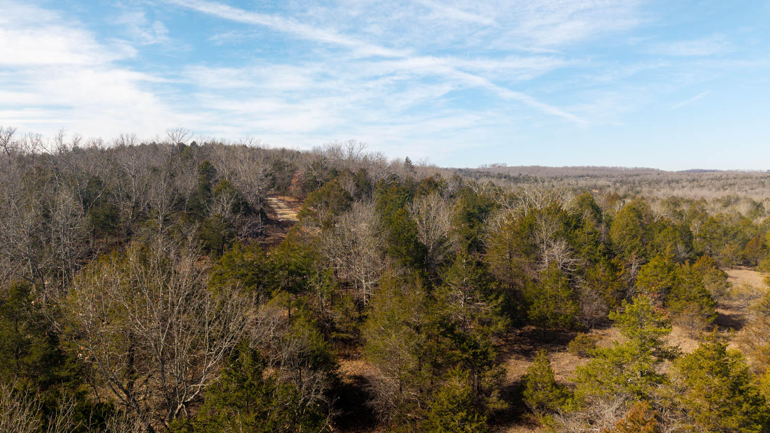 Photo 13 - Land for sale – 000  Rimstone Lane  Gainesville, MO