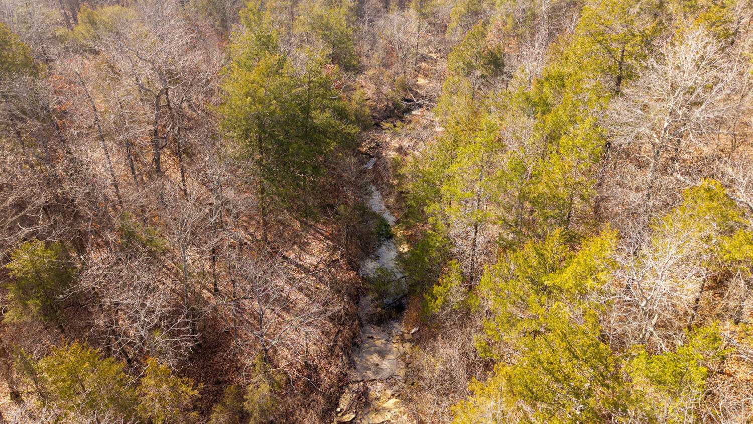 Photo 10 - Land for sale – 000  Rimstone Lane  Gainesville, MO