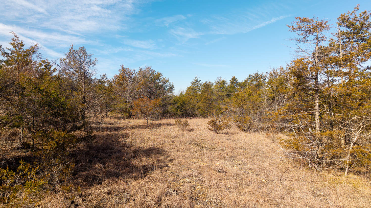 Photo 17 - Land for sale – 000  Rimstone Lane  Gainesville, MO