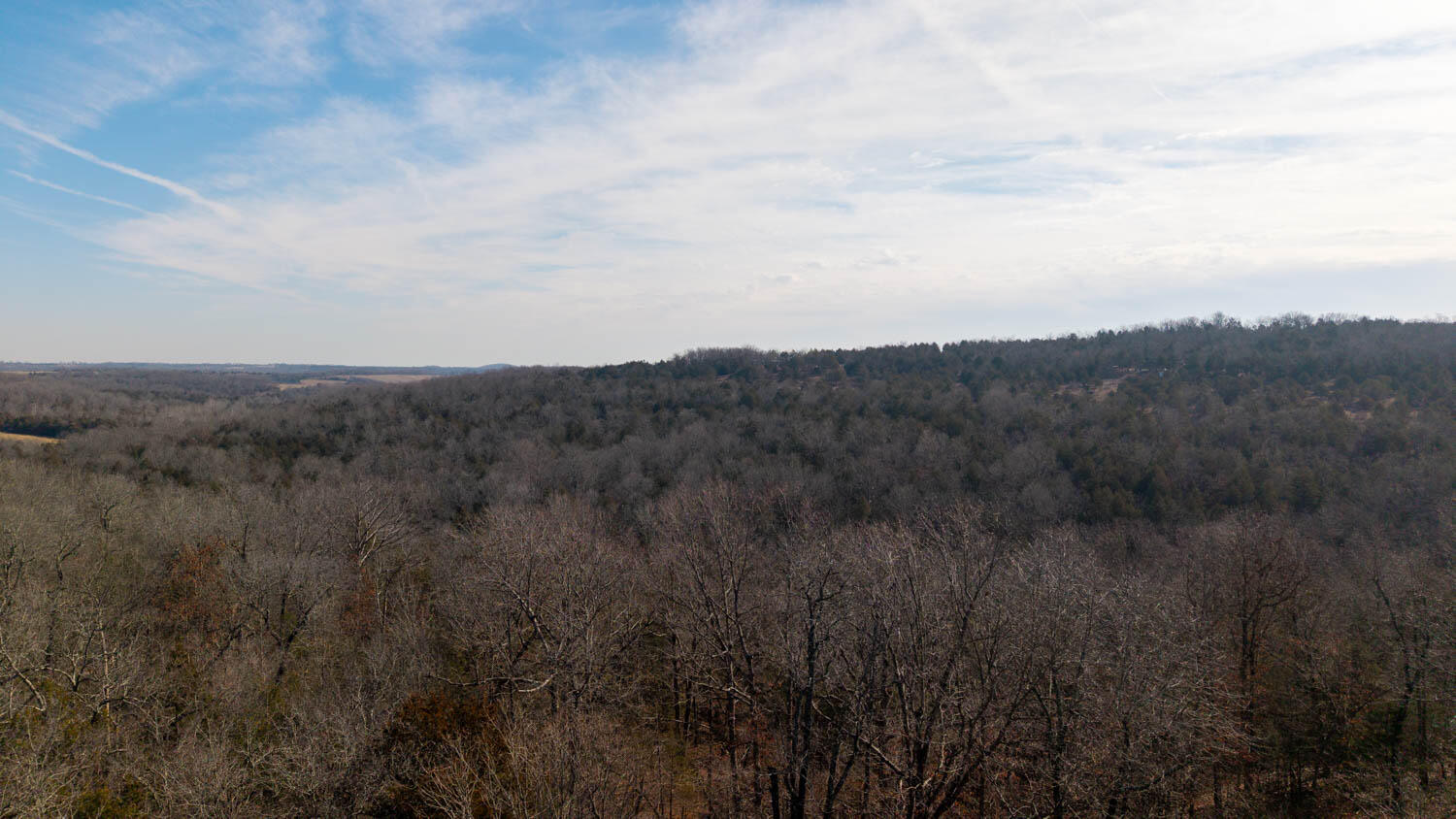Photo 15 - Land for sale – 000  Rimstone Lane  Gainesville, MO