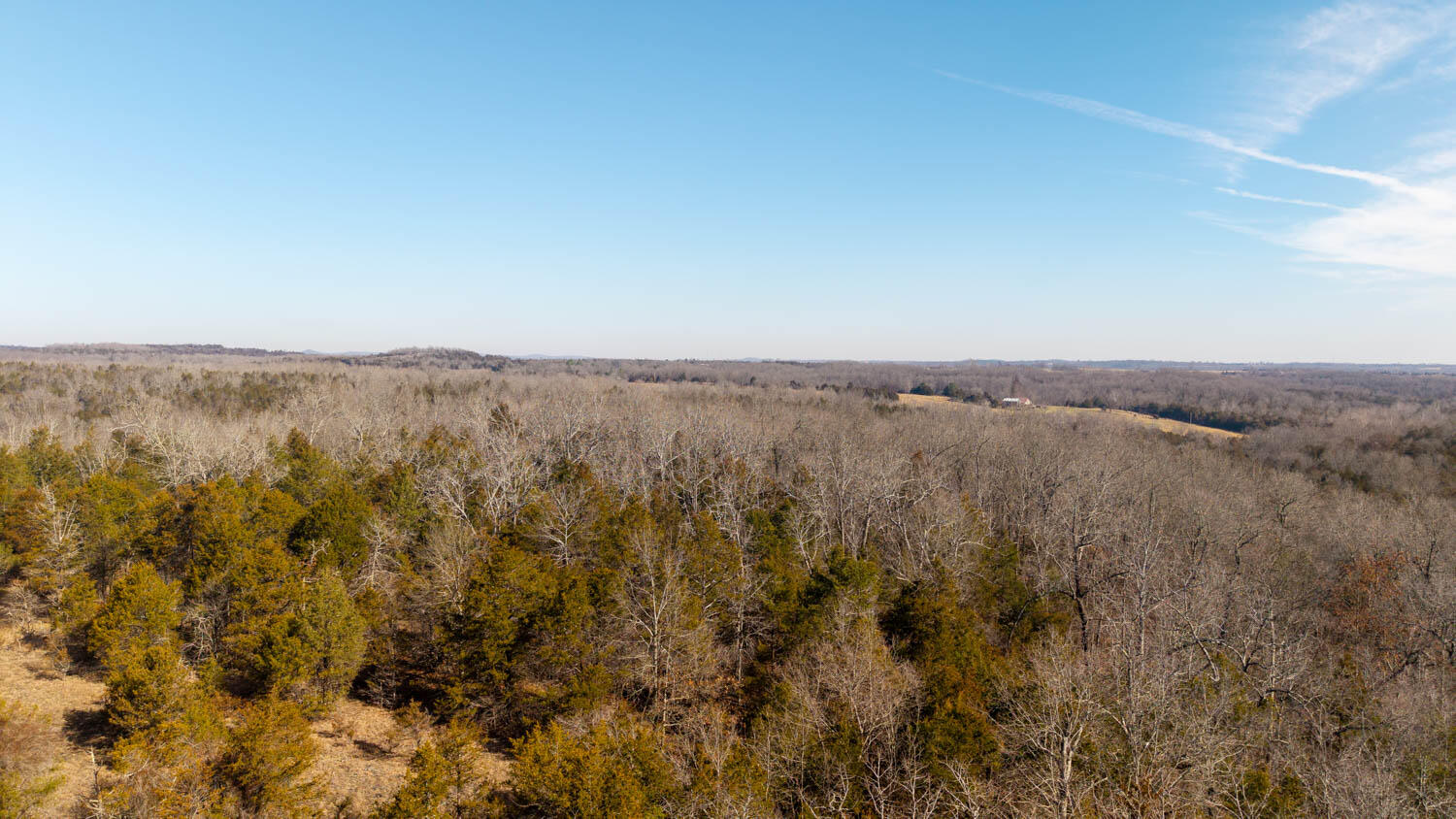 Photo 14 - Land for sale – 000  Rimstone Lane  Gainesville, MO