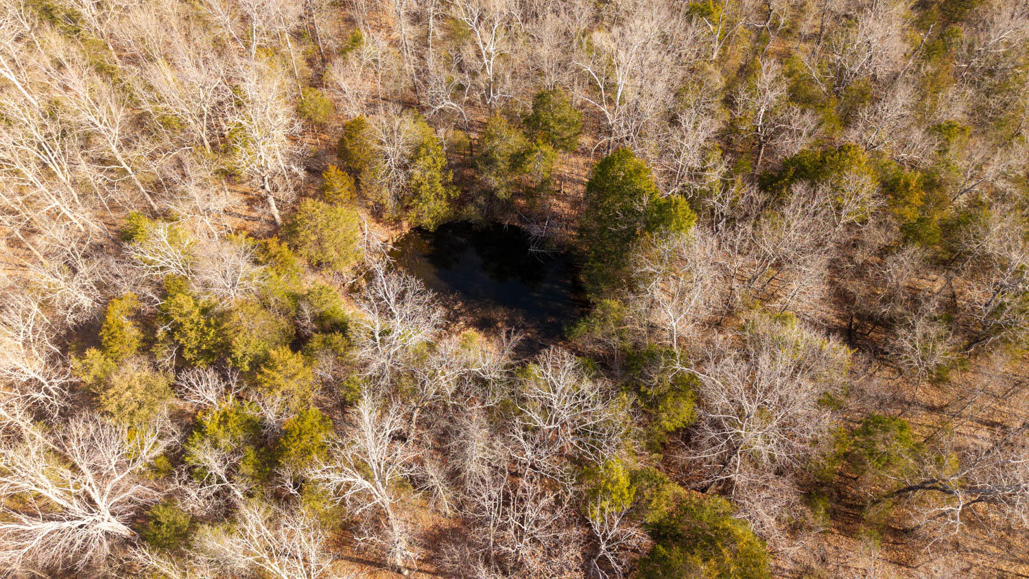 Photo 7 - Land for sale – 000  Rimstone Lane  Gainesville, MO