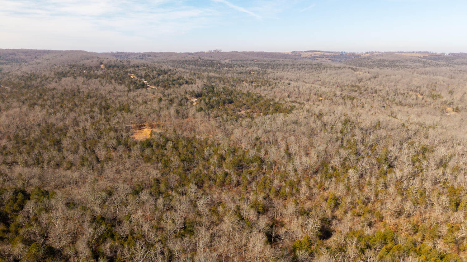 Photo 12 - Land for sale – 000  Rimstone Lane  Gainesville, MO